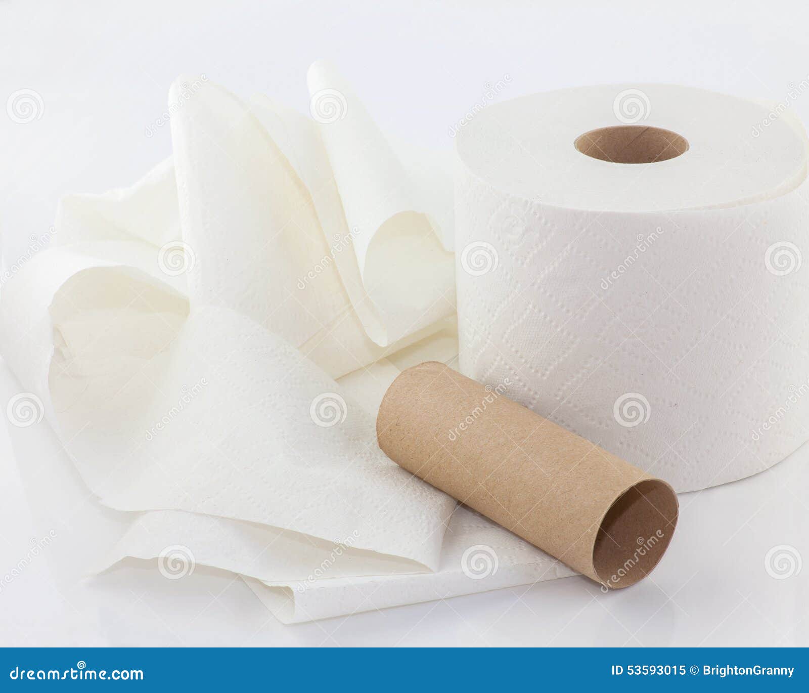 Top 100+ Images how long is a roll of toilet paper unrolled Full HD, 2k, 4k