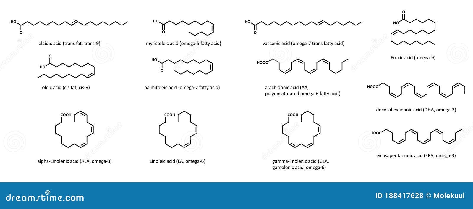 unsaturated fatty acids (set): elaidic, myristoleic, vaccenic, erucic, oleic, palmitoleic, arachidonic, alpha-linolenic, gamma-