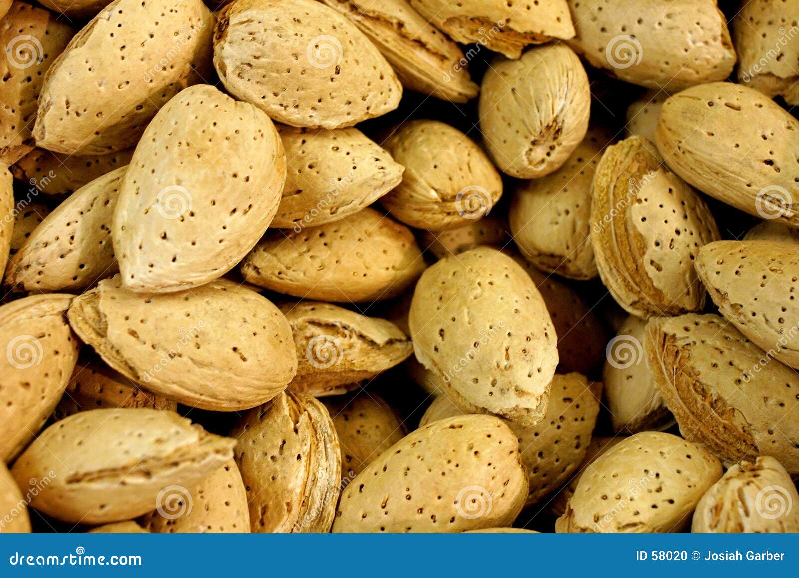 unshelled almonds