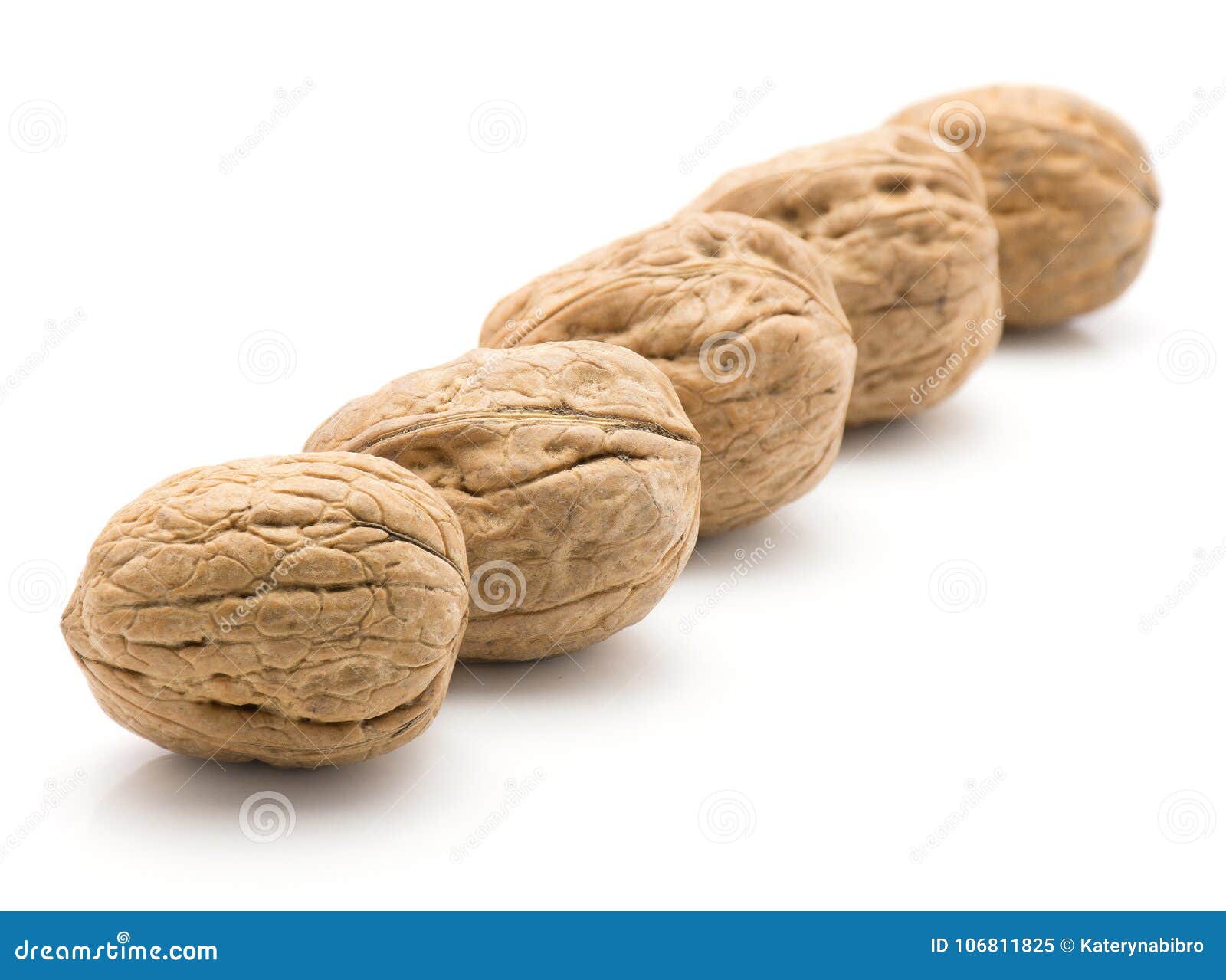 Fresh walnuts isolated stock image. Image of five, gaullish 106811825