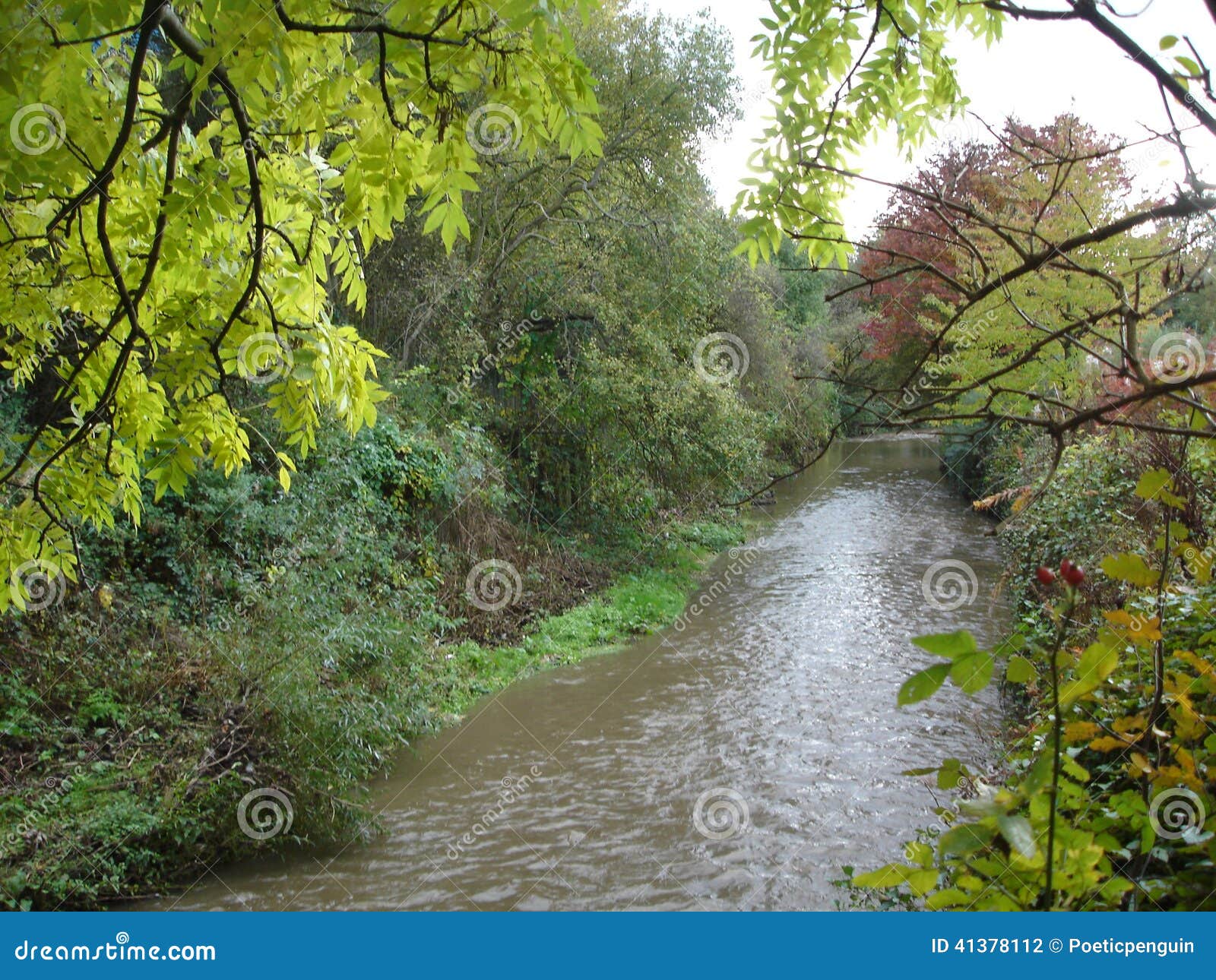 unspoiled natural urban stream