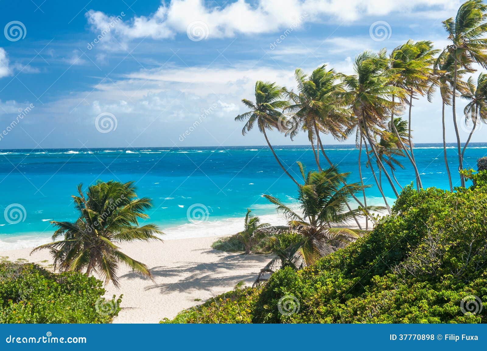 Untere Bucht ist einer der schönsten Strände auf der Karibikinsel von Barbados. Es ist ein tropisches Paradies mit den Palmen, die über Türkismeer hängen