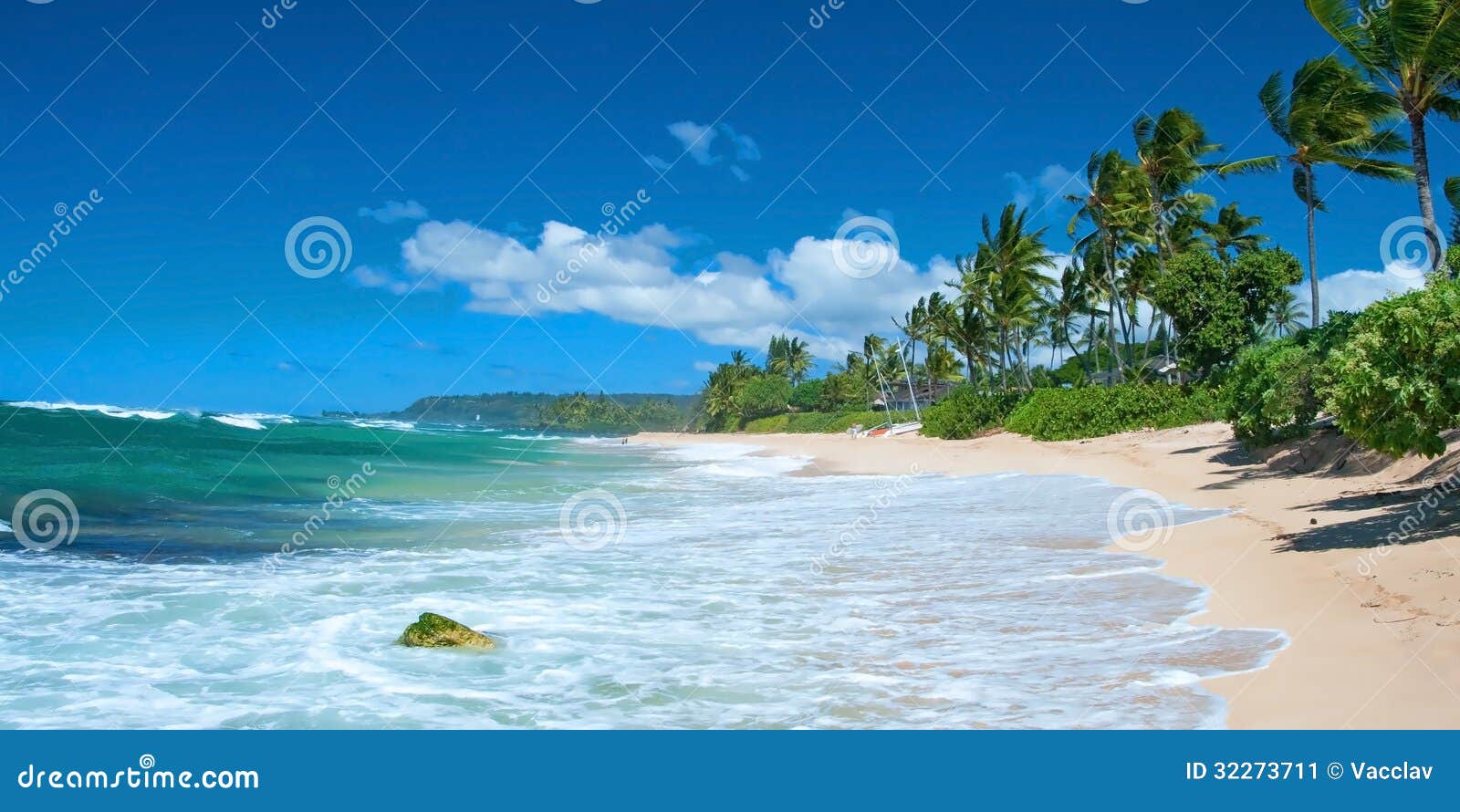 untouched sandy beach with palms trees and azure ocean in background