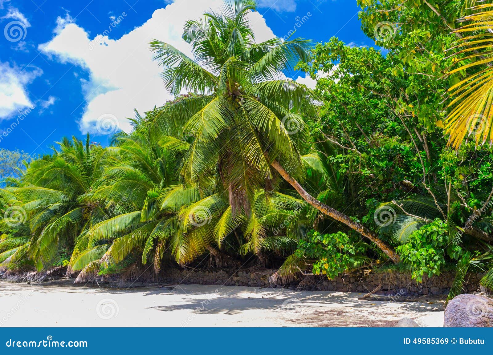 untouched tropical beach in seychelles