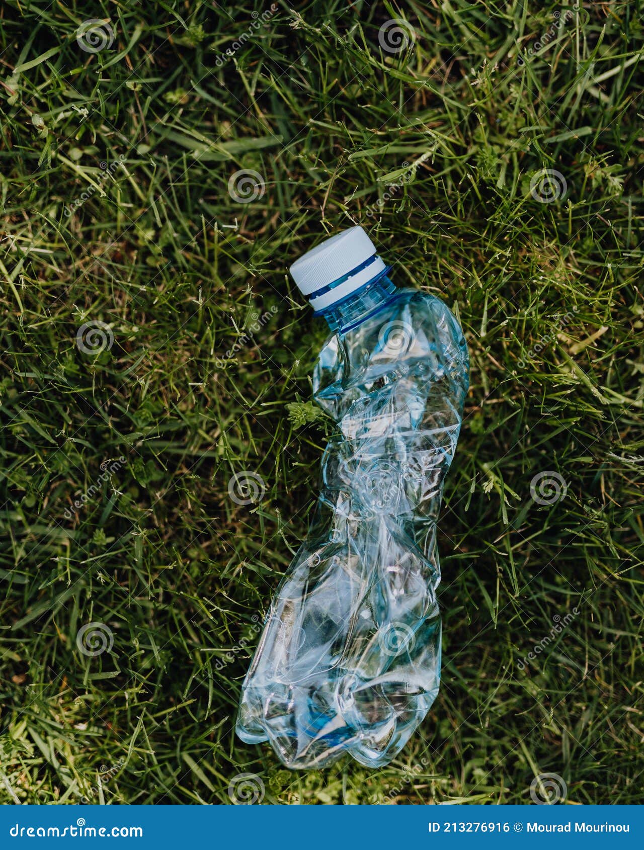 an unused plastic water bottle over green herbs.