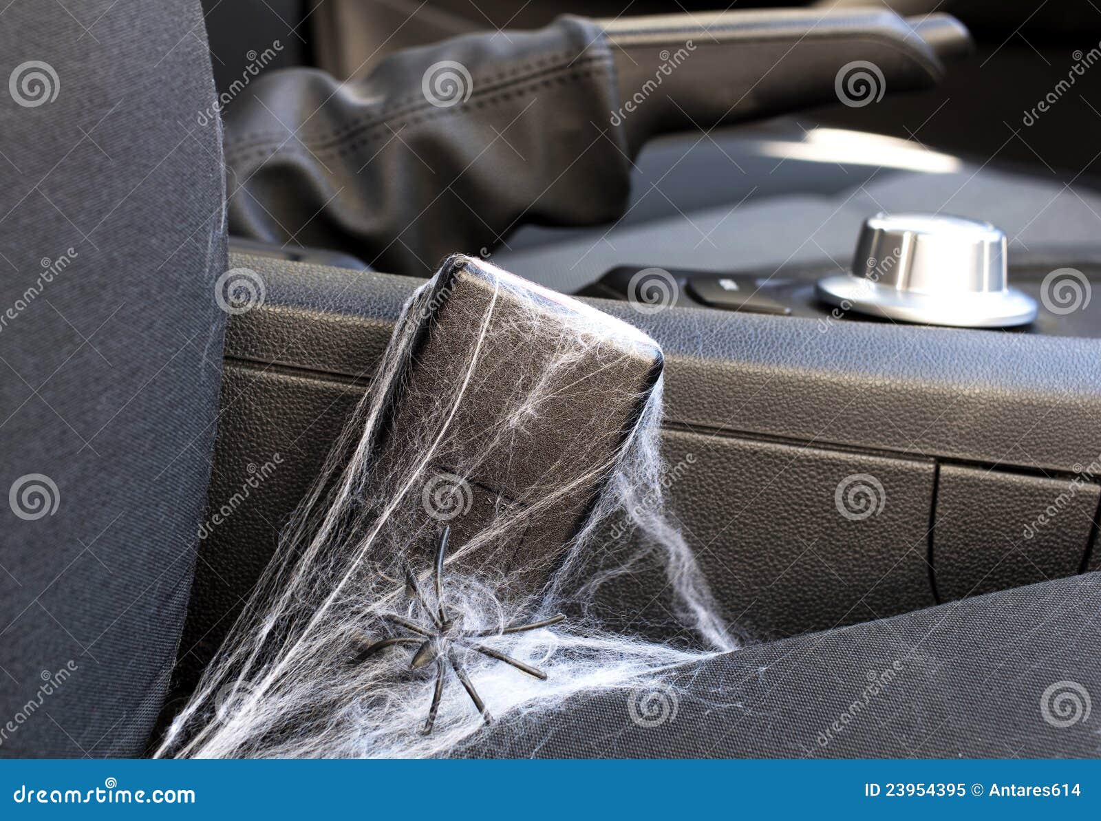 unused seat belt