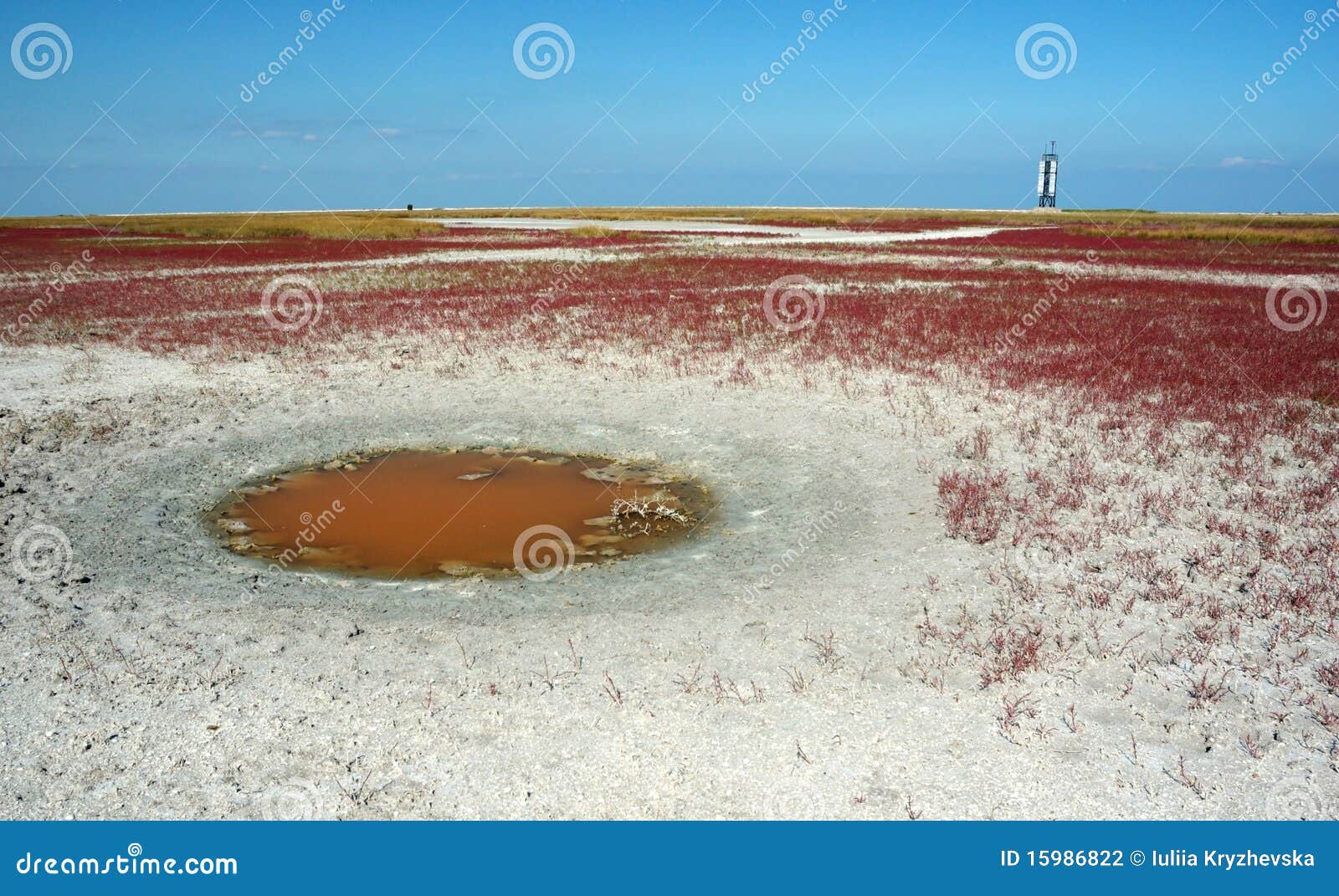 unusual landscape of desert tendra island,ukraine