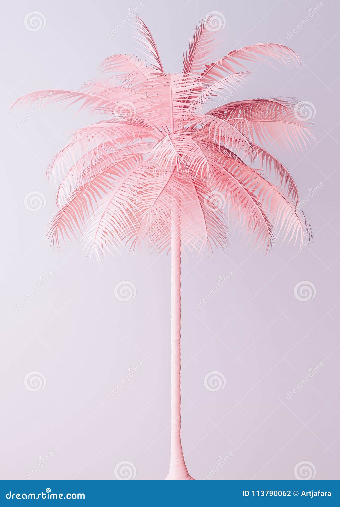 unusual pastel pink palm backgroud