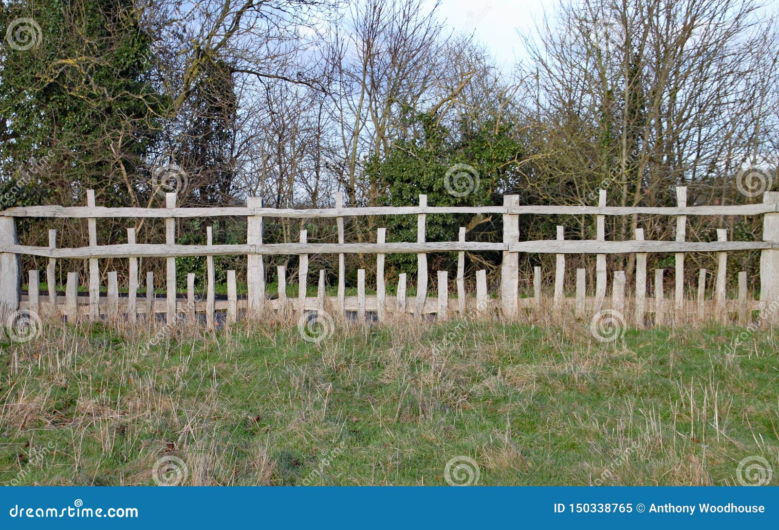 Unusual Wooden Fence with Parallel Horizontal Rails and Vertical Posts