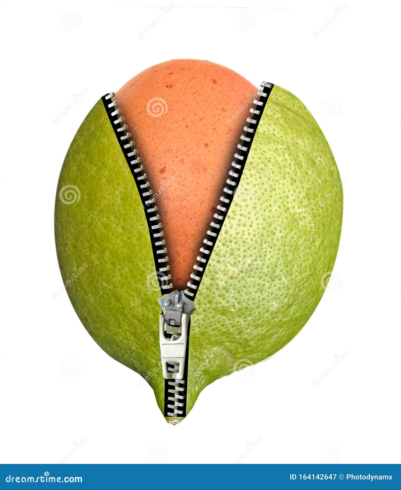 8 Fruit Zip Photos Free Royalty Free Stock Photos From Dreamstime 8 Fruit Zip Photos Free Royalty Free Stock Photos From Dreamstime