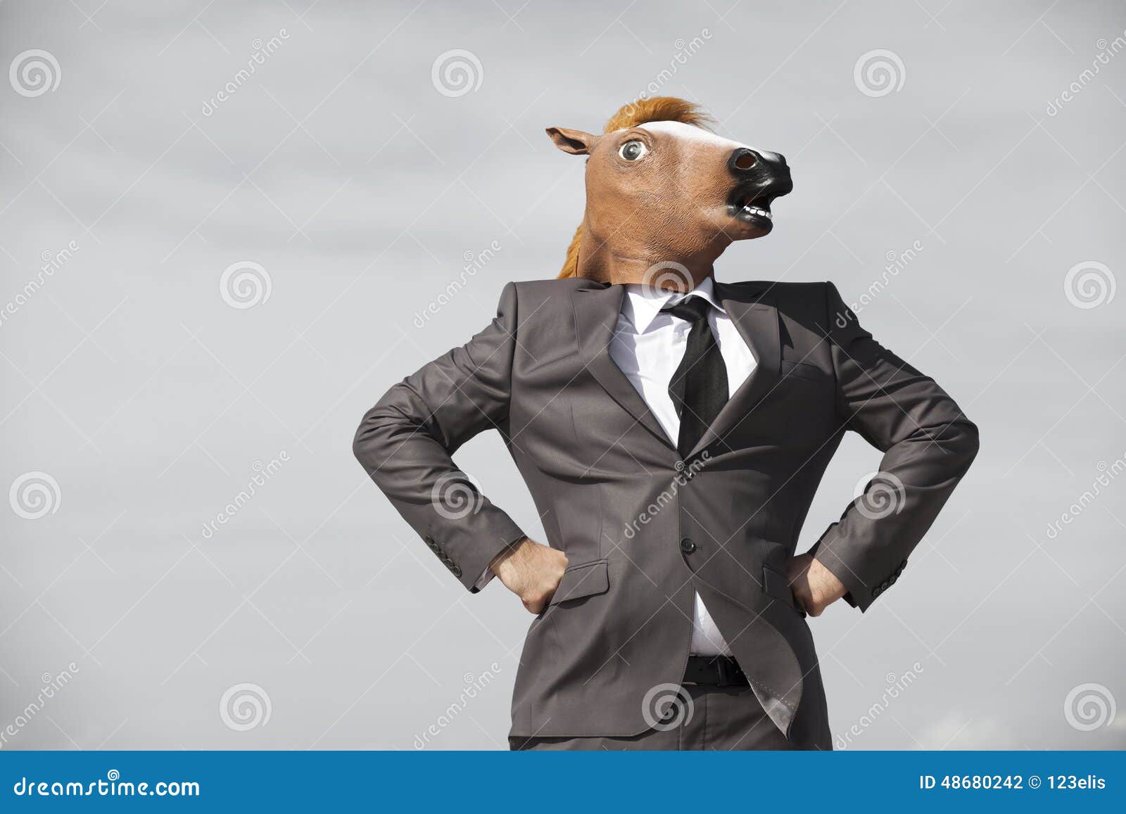 Uomo D'affari Della Testa Di Cavallo Fotografia Stock Immagine di