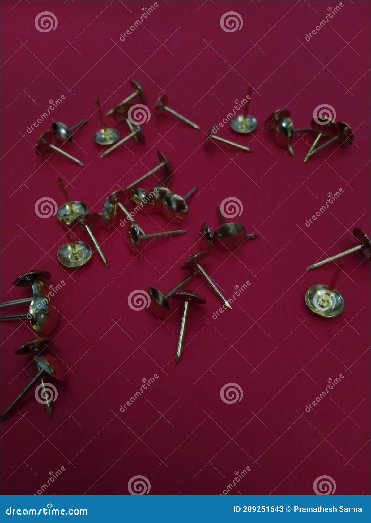 Upholstery Nails on a White Background Stock Image Image of pins, office 209251643