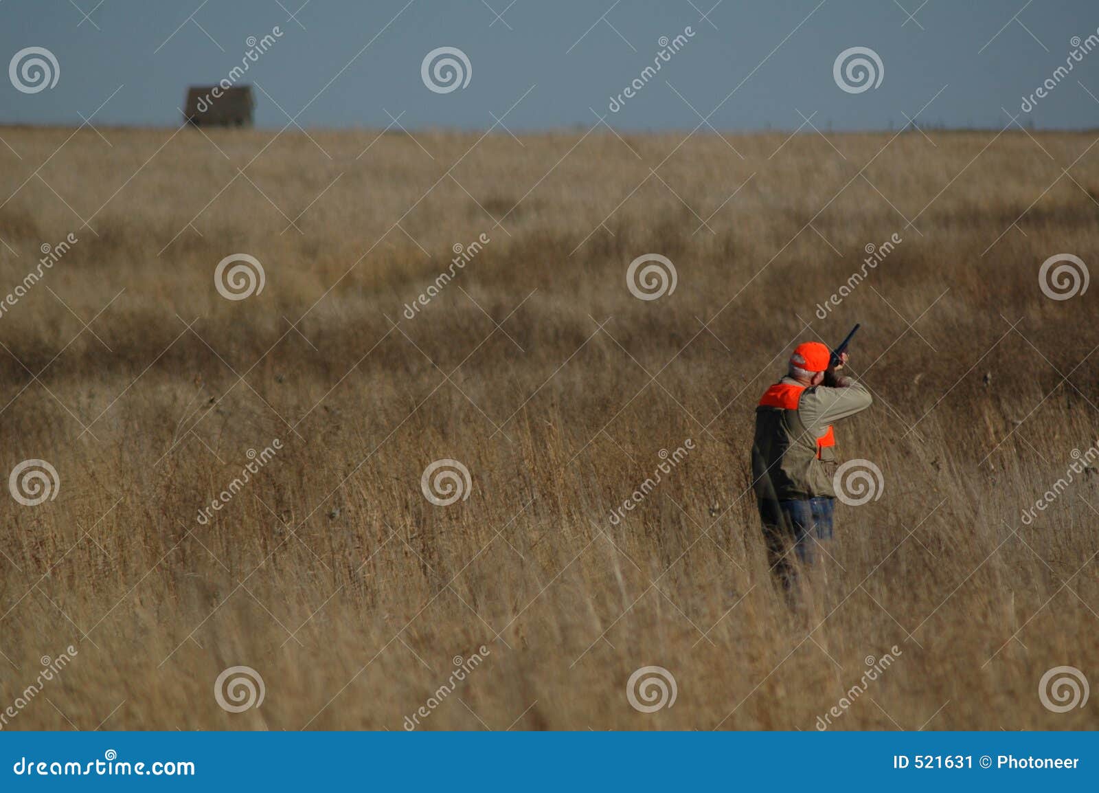 Upland Bird Hunter stock image. Image of prairie, field 521631