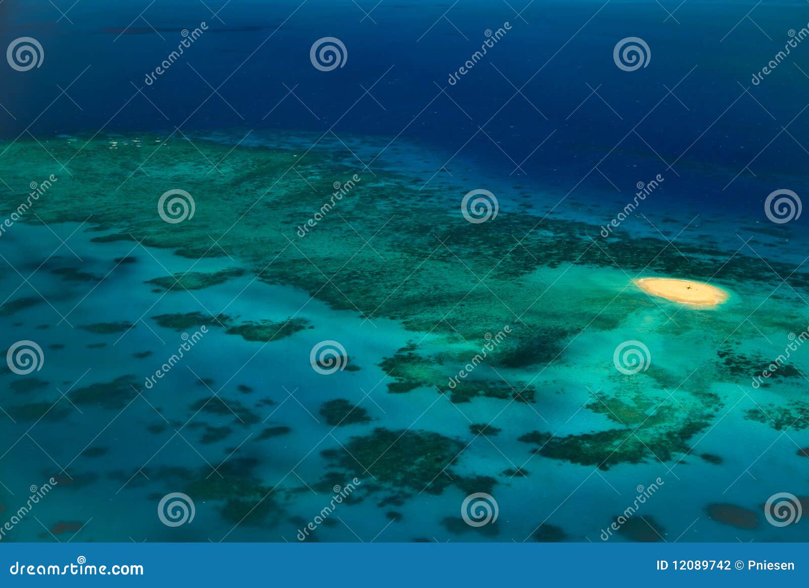 Upolu Reef Australia Stock Photos - Free & Royalty-Free Stock Photos