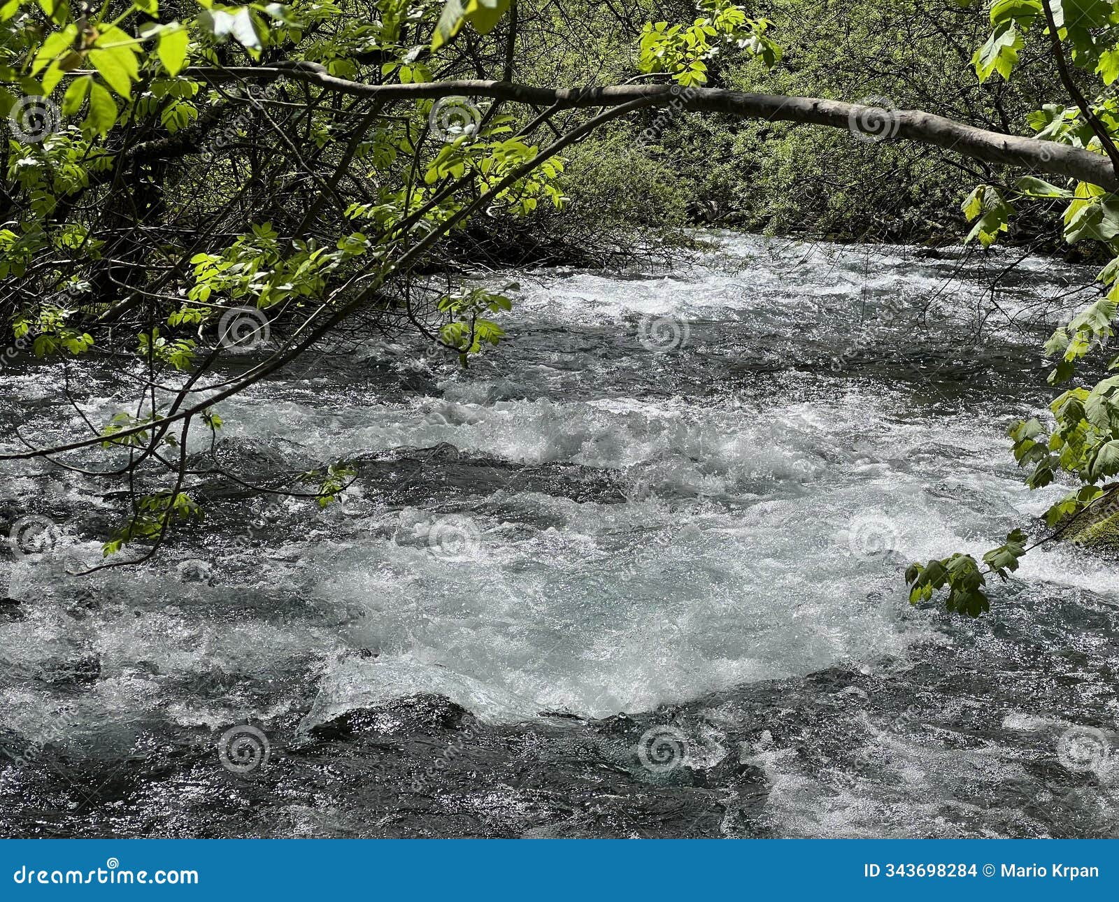 the upper course of the zrmanja river and immediately after the source (velebit nature park, croatia)