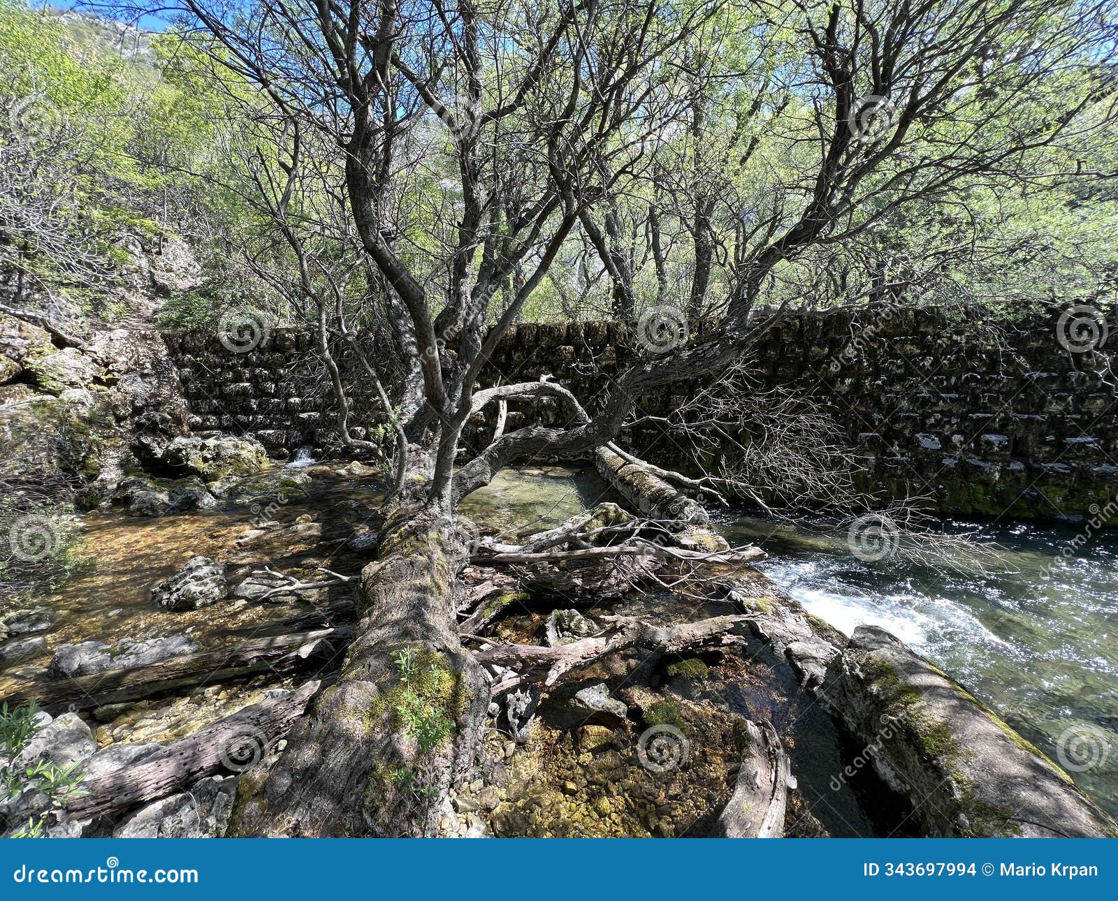 the upper course of the zrmanja river and immediately after the source (velebit nature park, croatia)