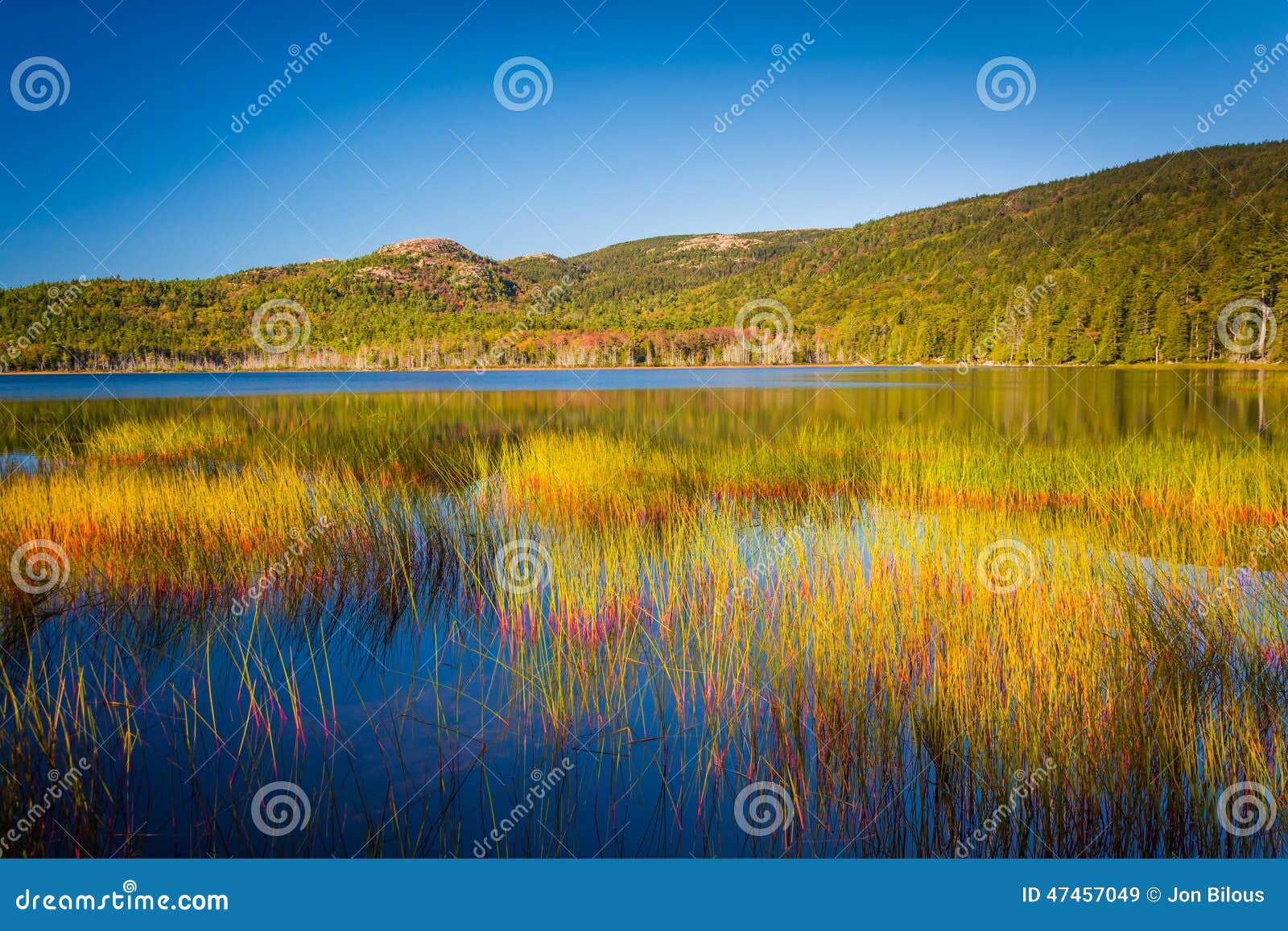 Upper Hadlock Pond in Acadia National Park, Maine. Stock Image Image of beautiful, fall 47457049