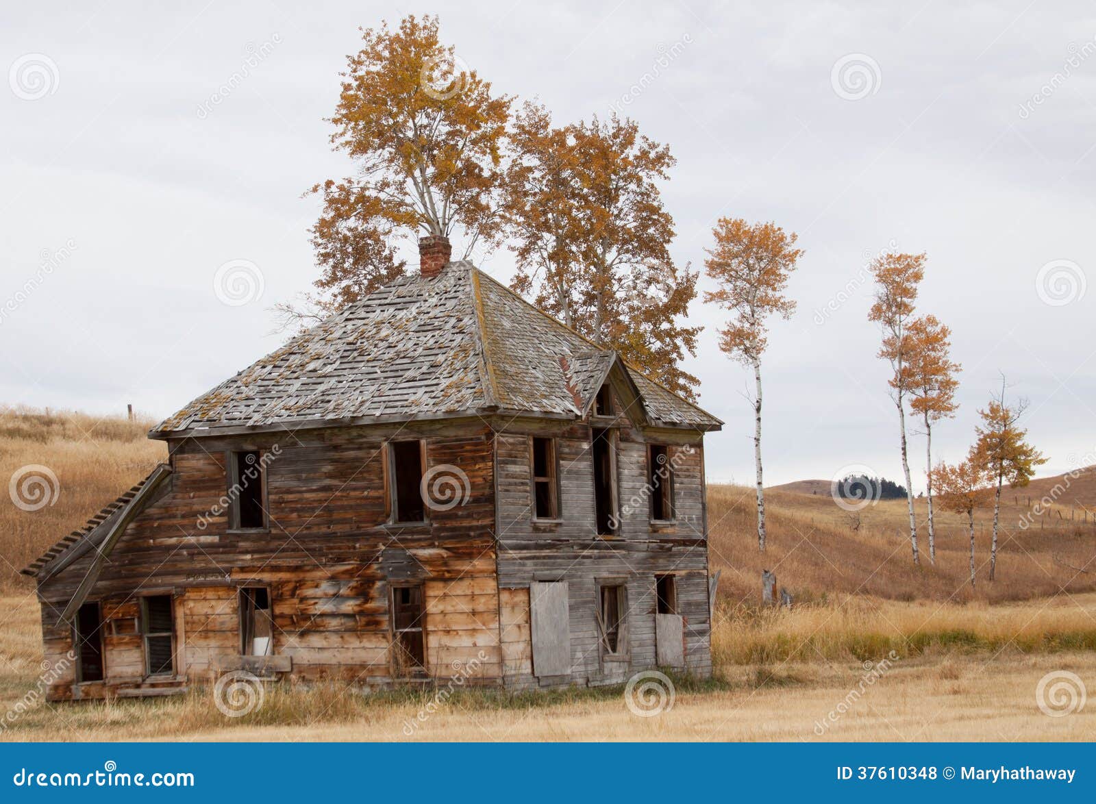 Upper Okanogan Highlands Old Homestead. Stock Photo Image of
