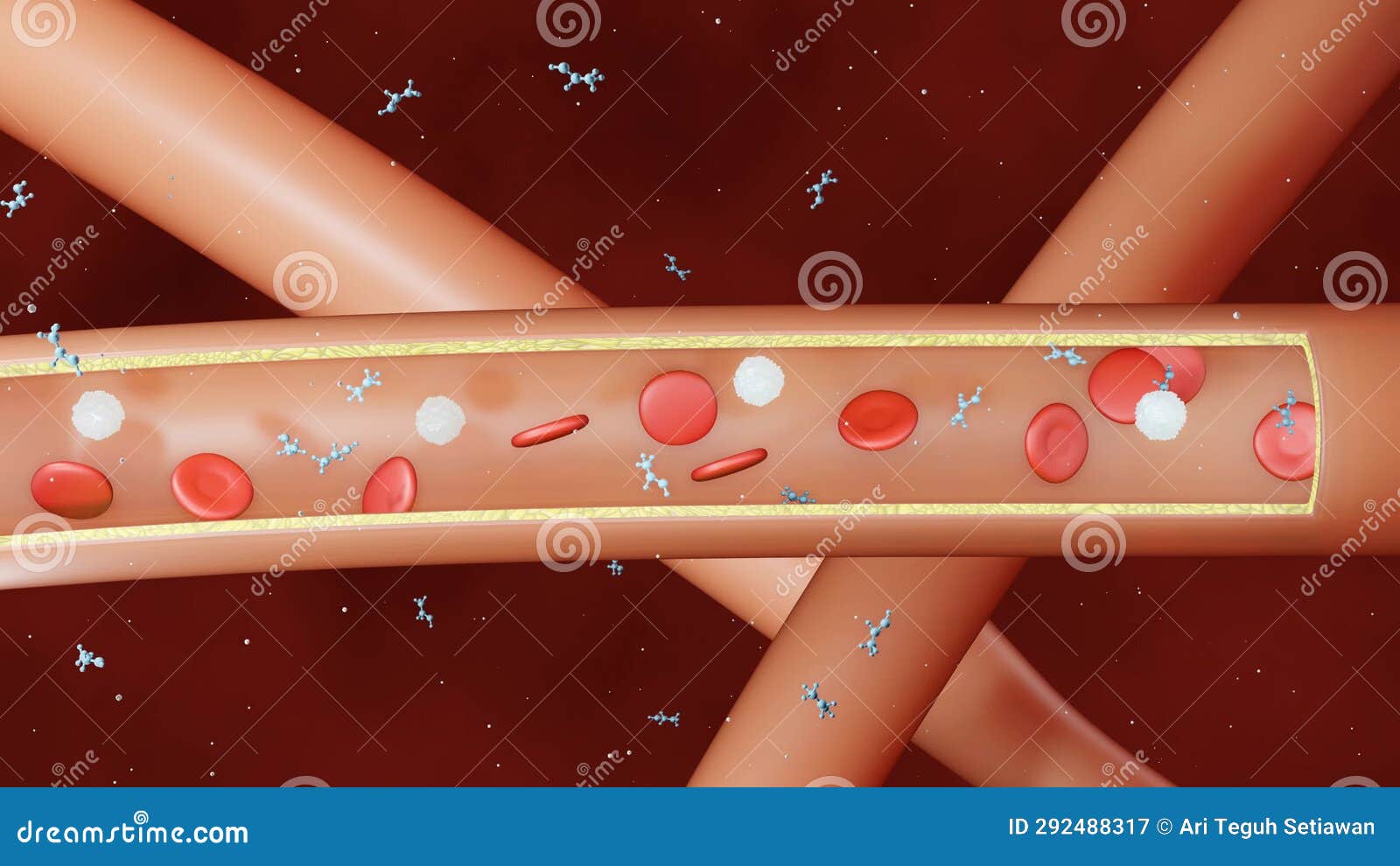 Ethanol Absorption Inside of Blood Vessel Stock Video Video of