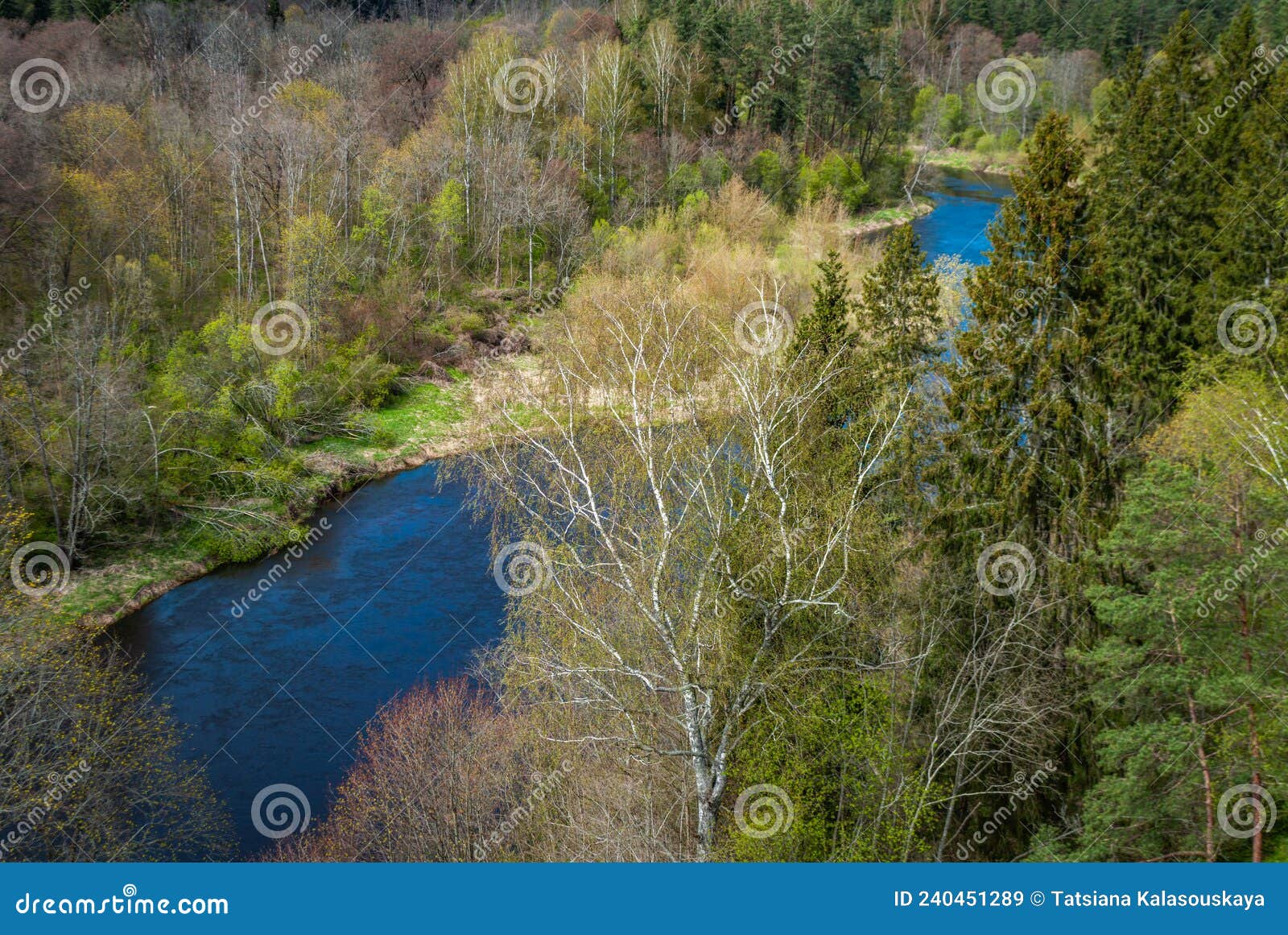 upper view of the river flowing through the forest