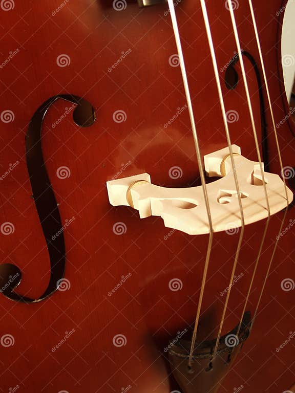 Upright Bass stock image. Image of upright, bands, musical 128555