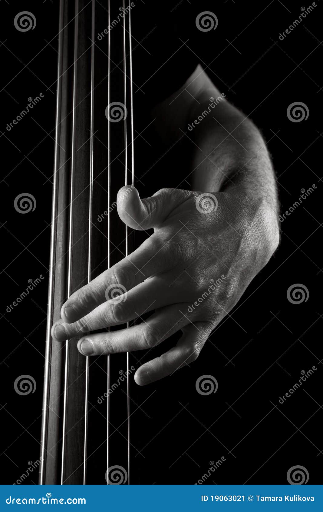Upright bass stock image. Image of side, light, hand 19063021