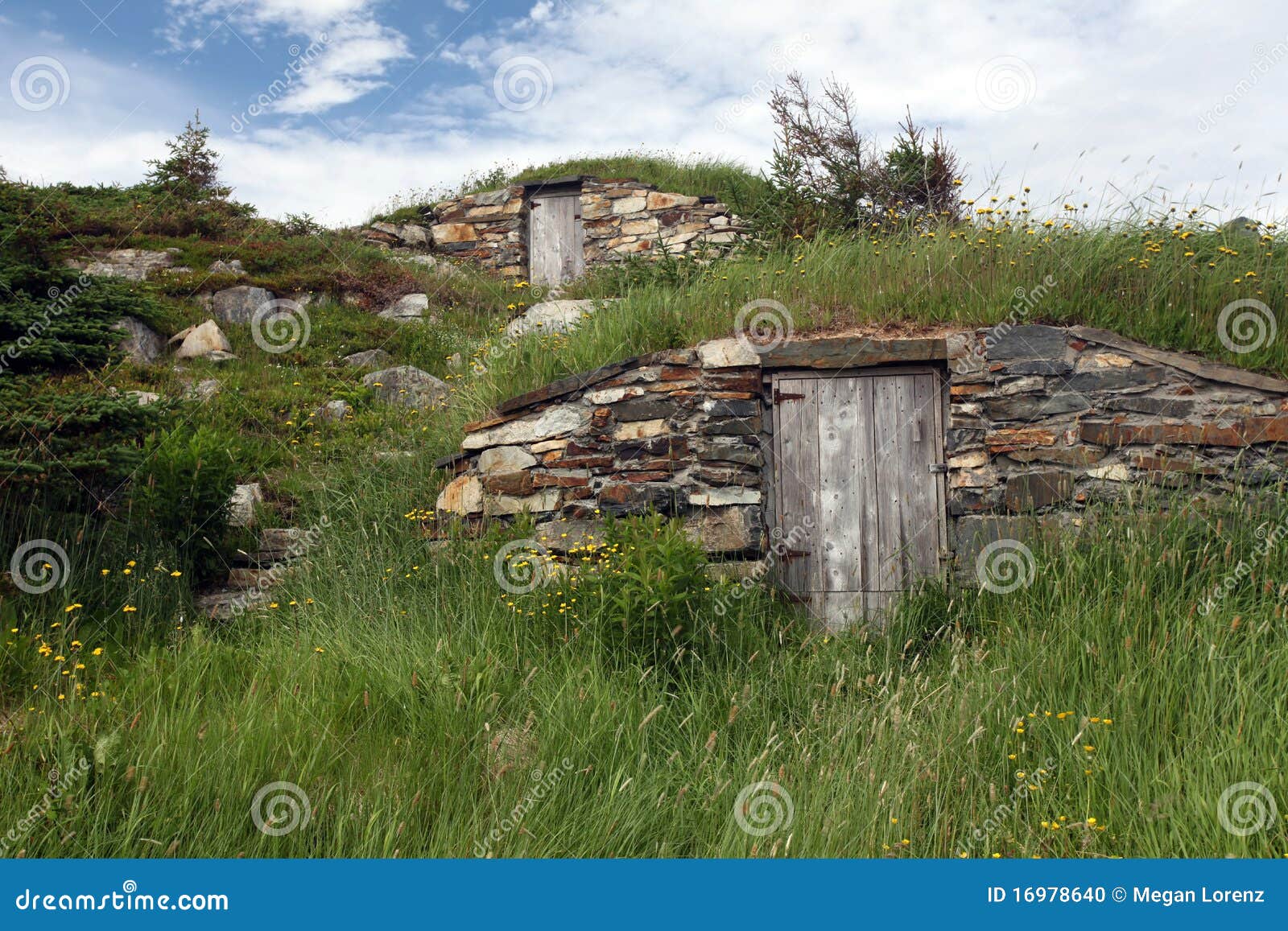 upstairs downstairs root cellars