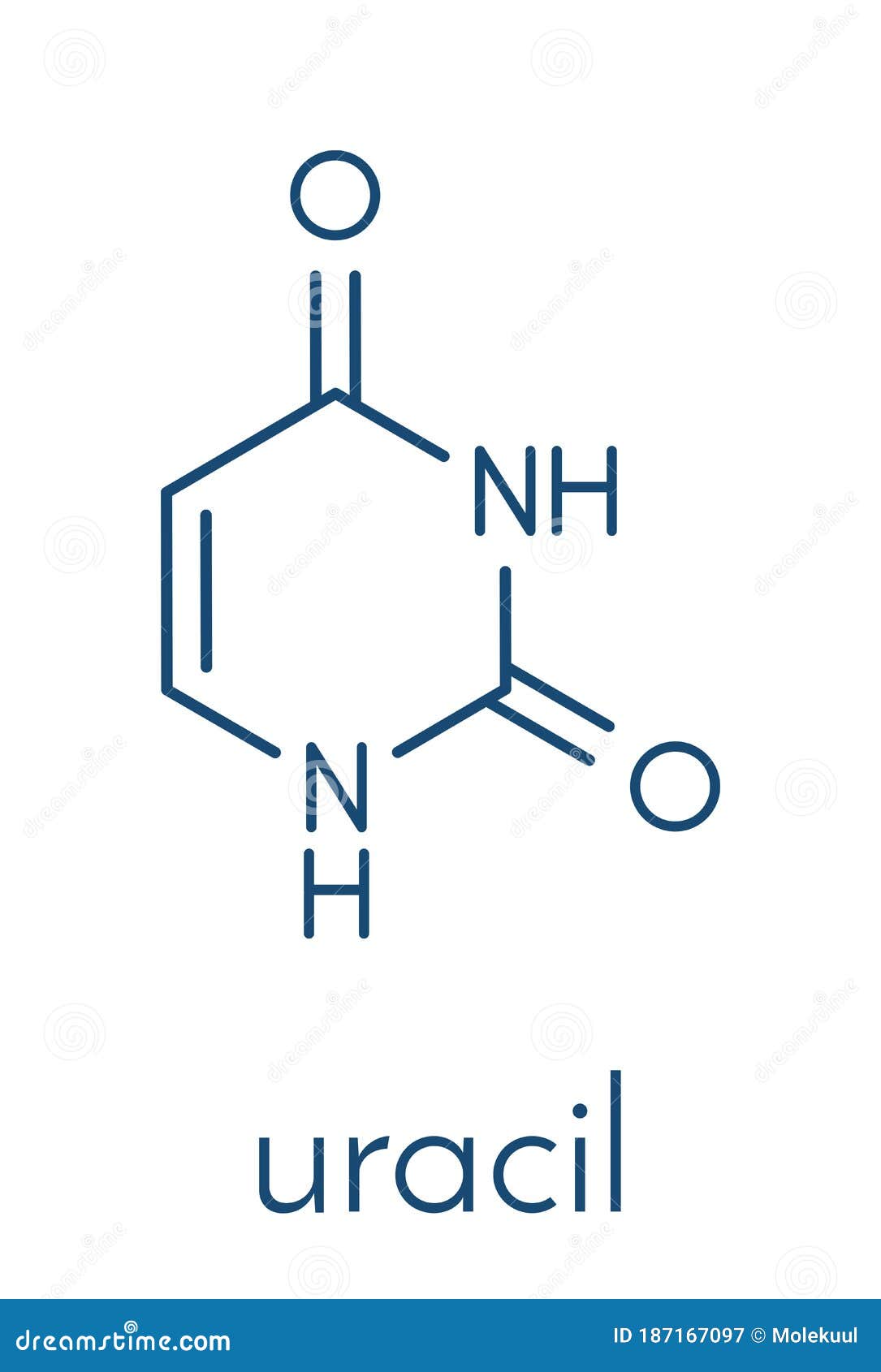 Uracil U Nucleobase Molecule. Present in Ribonucleic Acid RNA. Skeletal