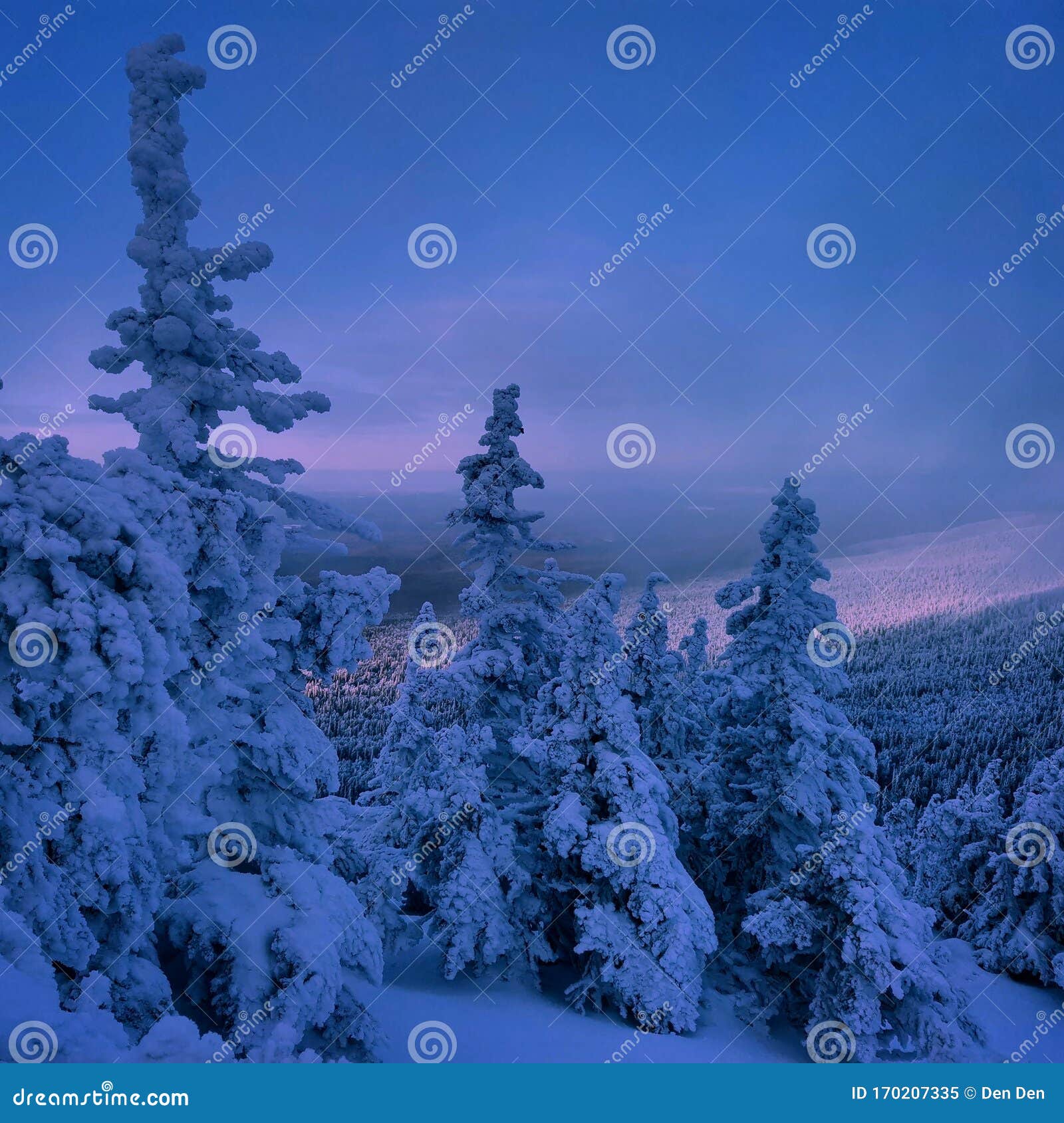 Ural Lapland. stock image. Image of trees, mountain 170207335