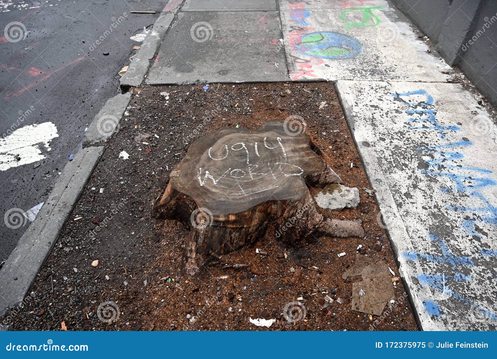 urban-blight-stump-where-tree-had-been-removed-paved-sidewalk-street-city-graffiti-along-right-words-172375975.jpg