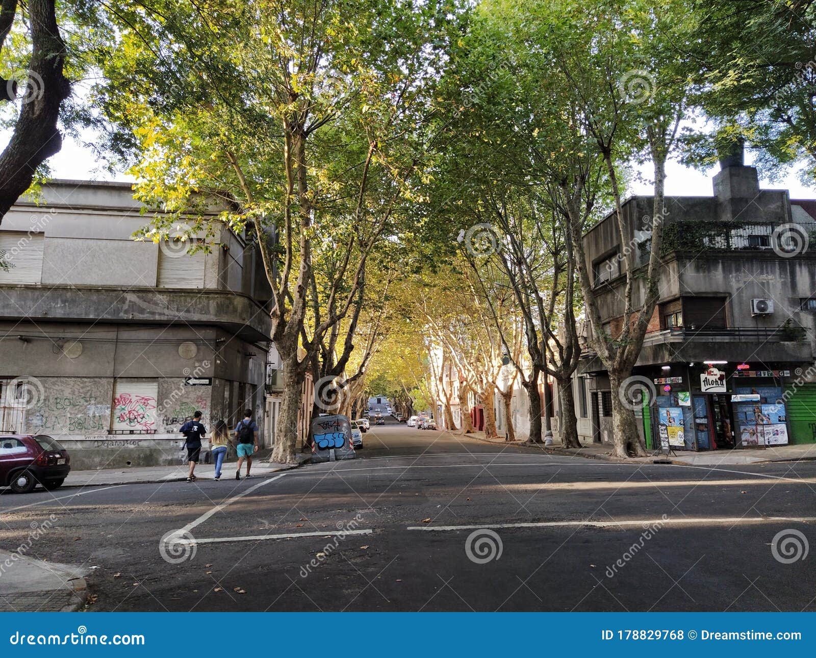 Urban Corner of Tree-lined Streets Editorial Stock Photo - Image of ...