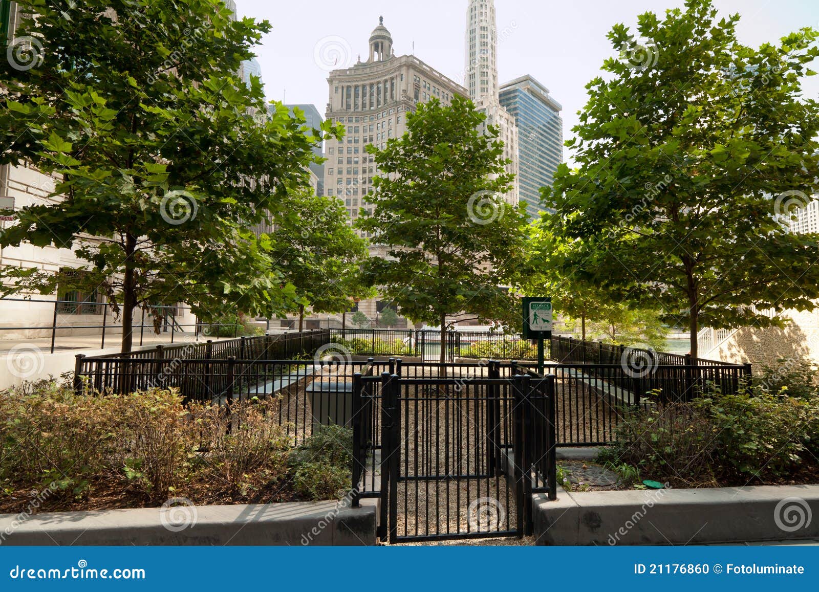 Urban dog park stock photo. Image of urban, city, chicago 21176860
