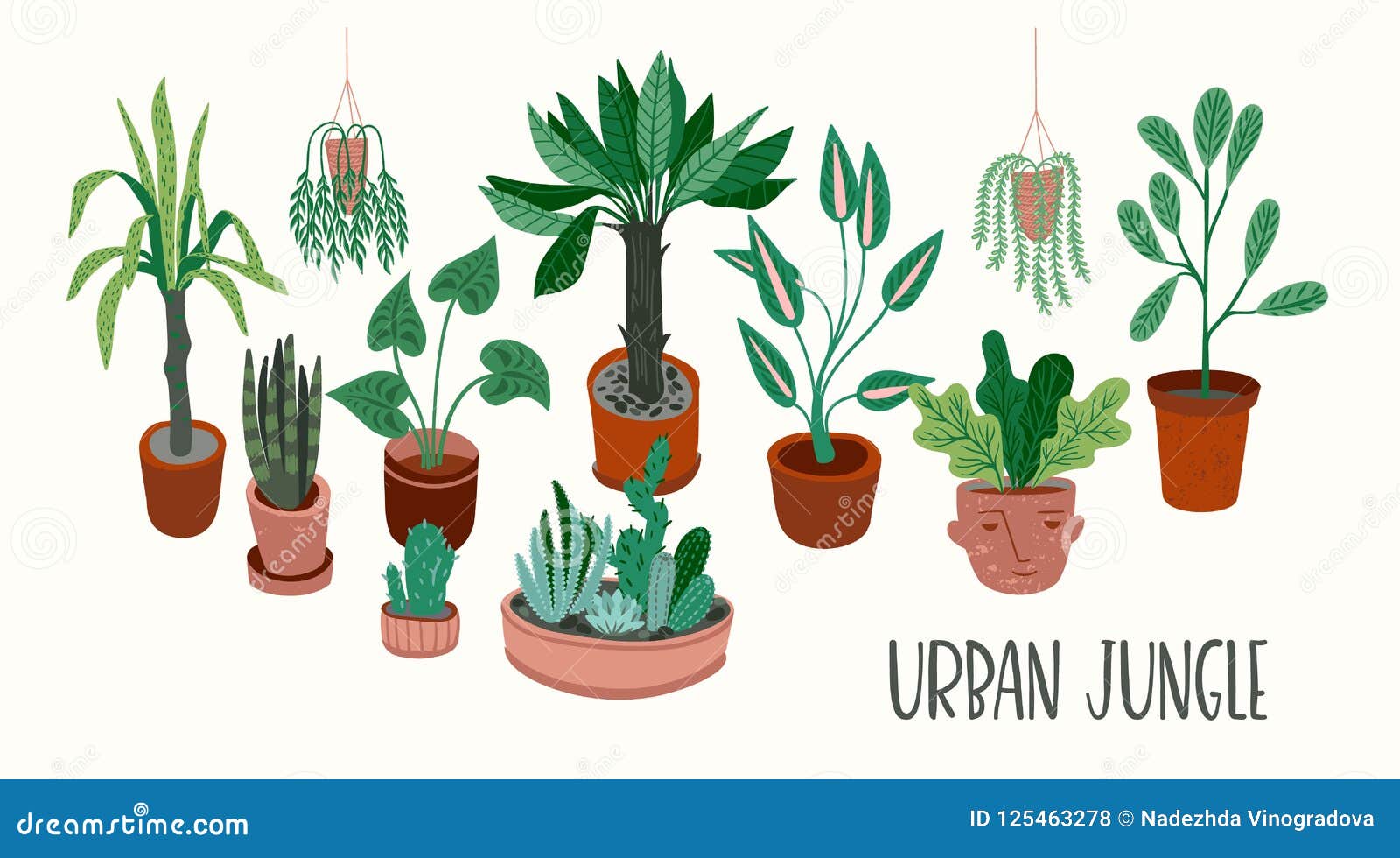 urban jungle.   with trendy houseplants.