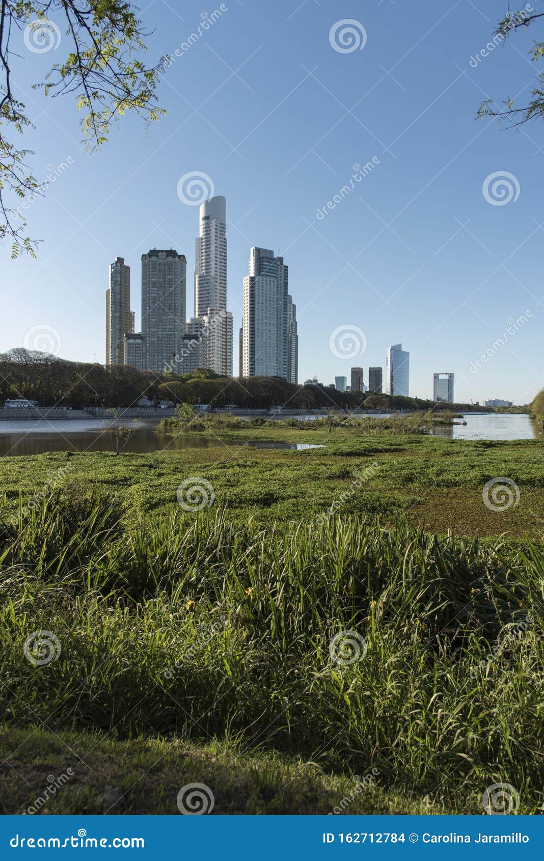 urban nature, puerto madero buildings and the costanera sur ecological reserve