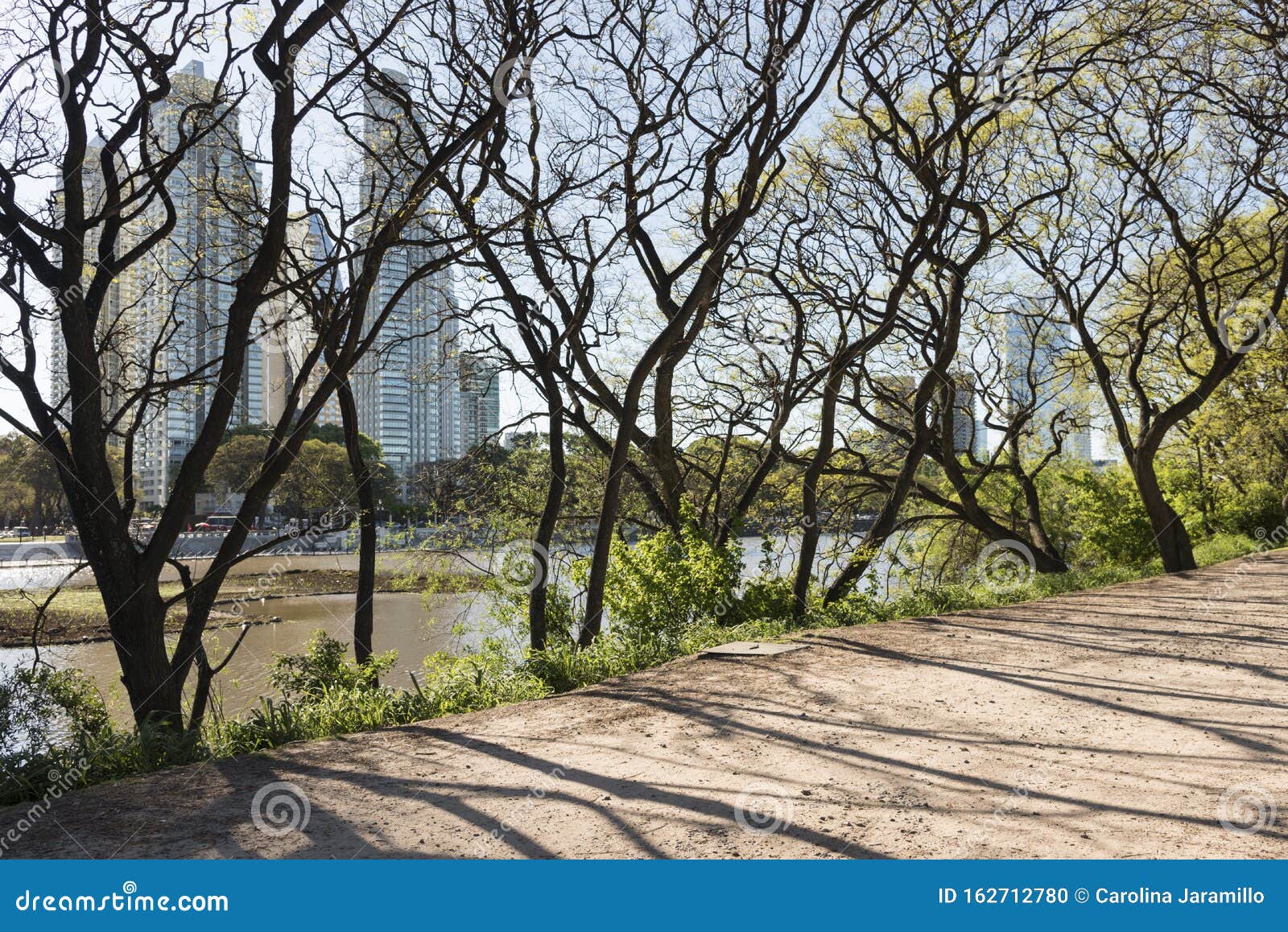 urban nature, puerto madero buildings from the costanera sur ecological reserve