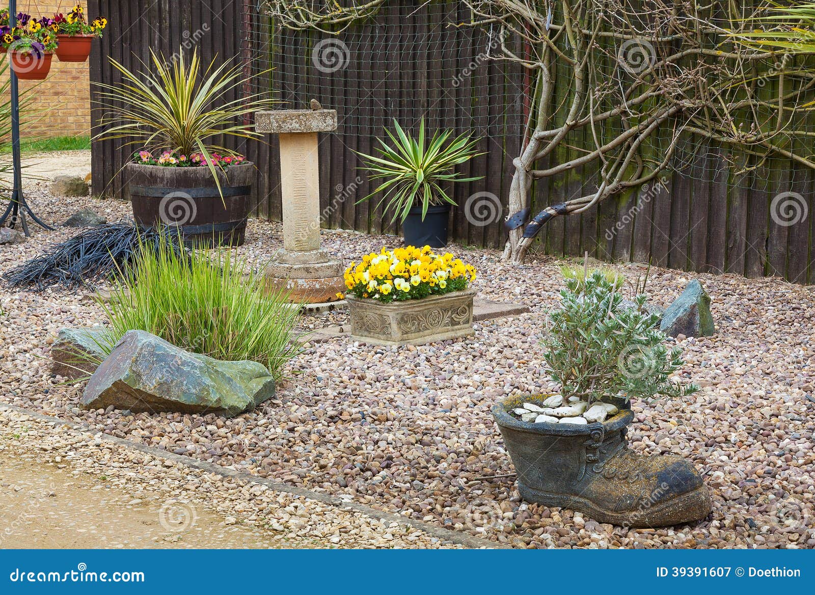 Urban Rockery Garden with Grasses and Shrubs. Stock Image Image of
