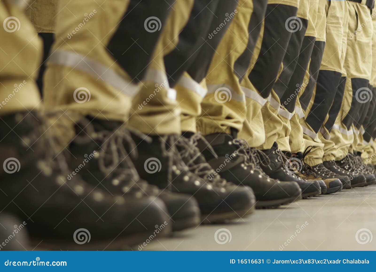 Urban Search And Rescue Team Stock Image Image Of Searching Hand Urban Search And Rescue Team Stock Image Image Of Searching Hand