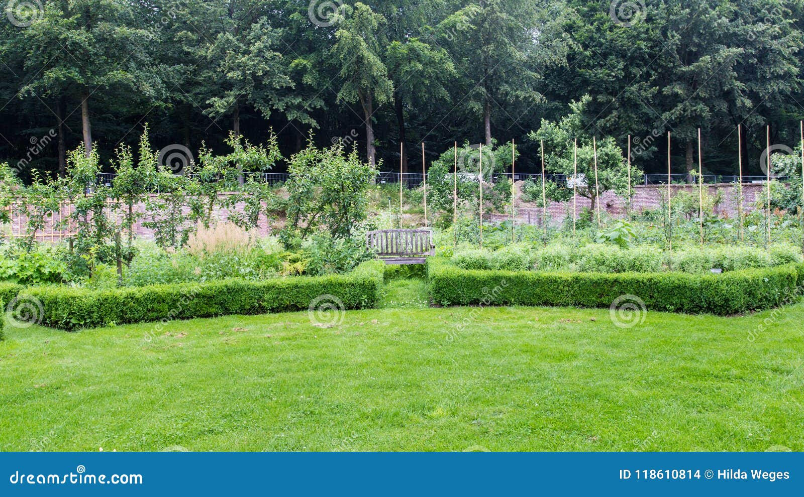 urban vegetable garden with