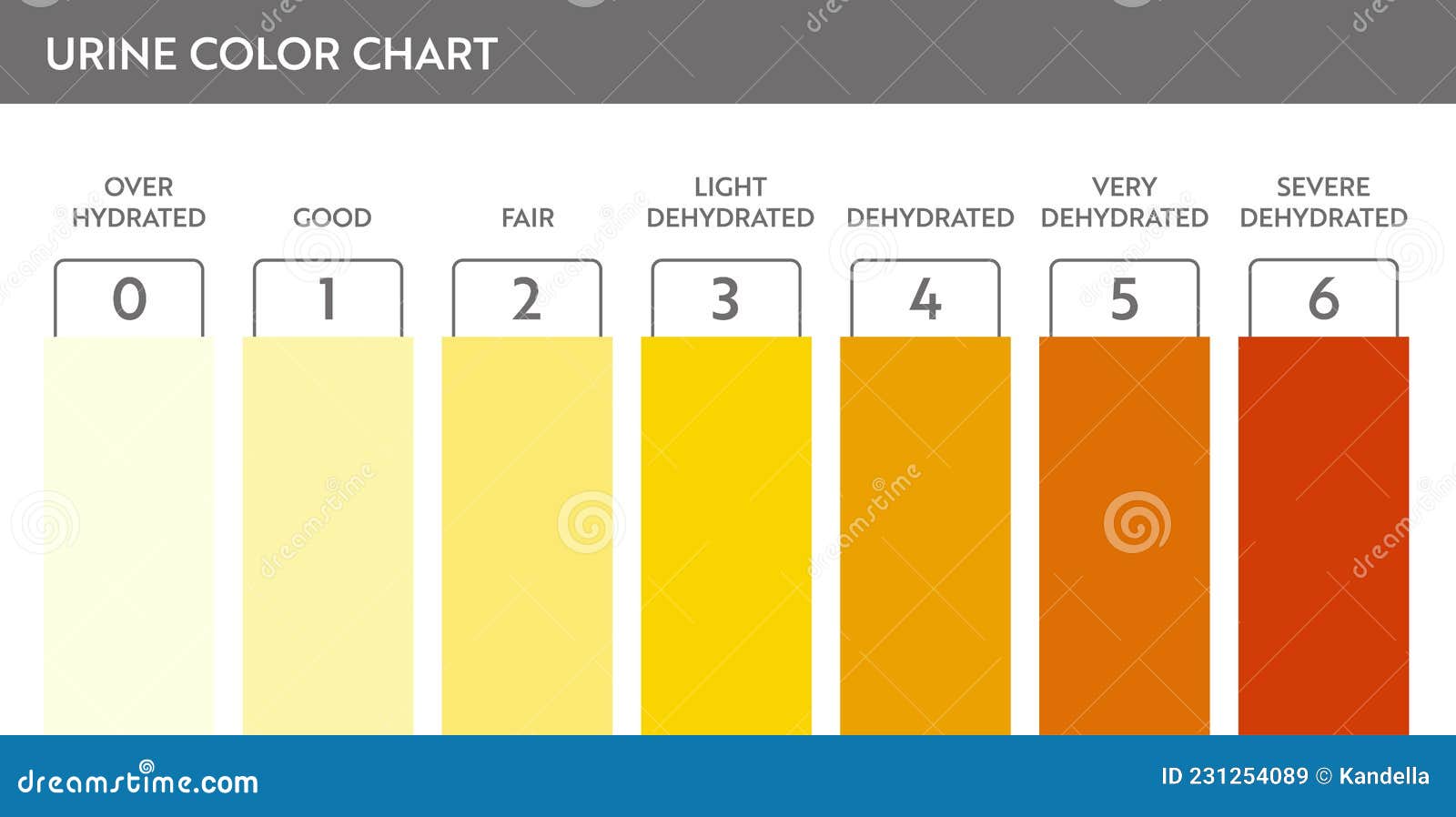 Color Chart For Dehydration