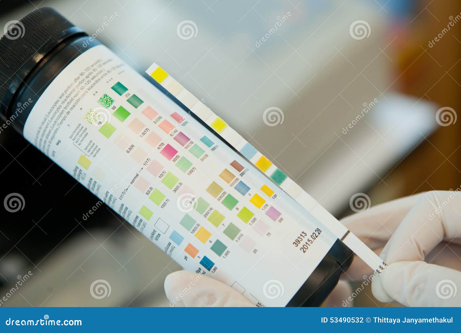 pregnancy strip download test Test Stock Diagnostic Urine Strips Photo Image Reagent pregnancy strip download test Test Stock Diagnostic Urine Strips Photo Image Reagent