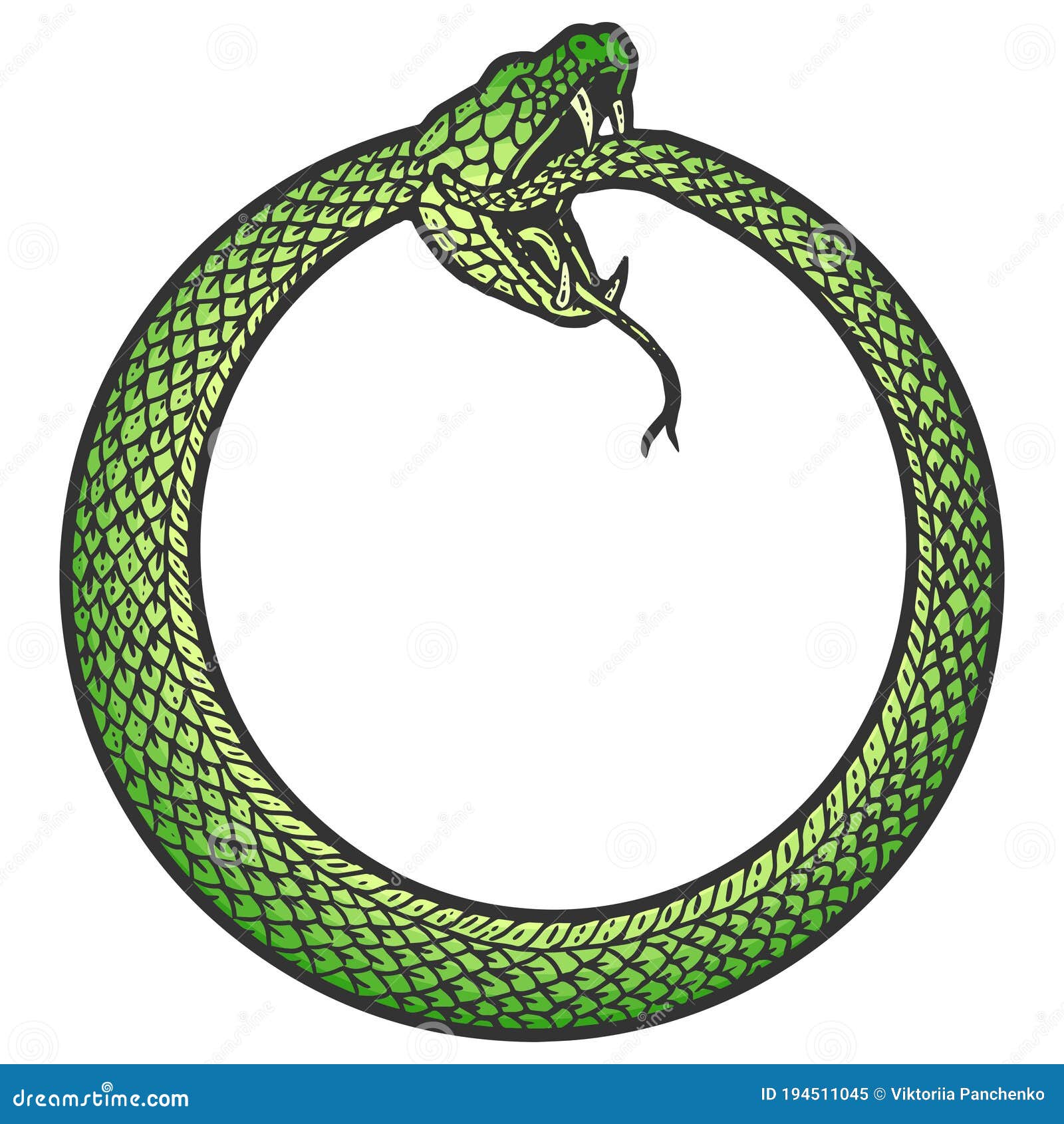 The Snake Coiled Round The Skull Black And White Vector Illustration ...