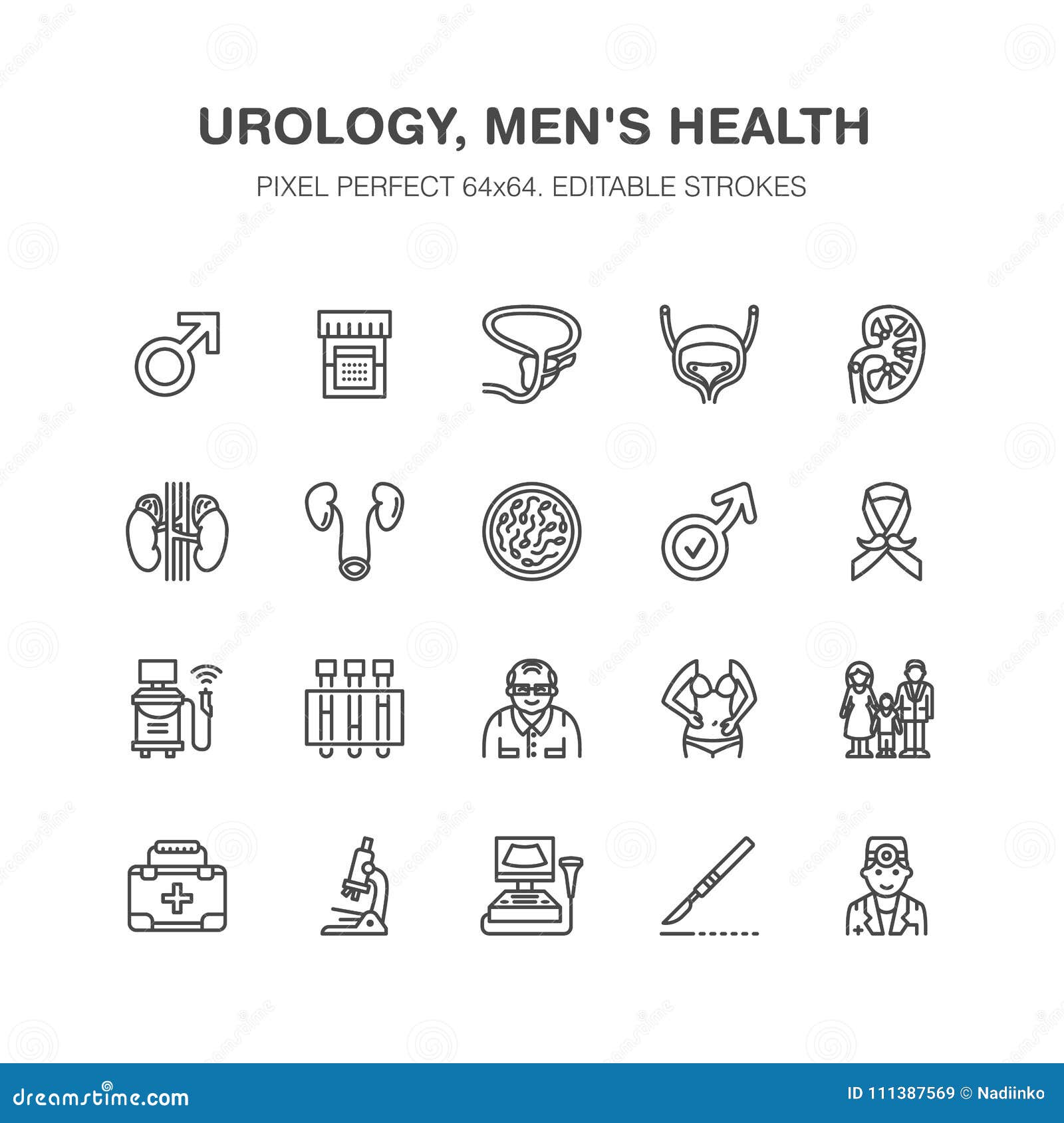 urology  flat line icons. urologist, bladder, kidneys, adrenal glands, prostate. linear medical pictograms with