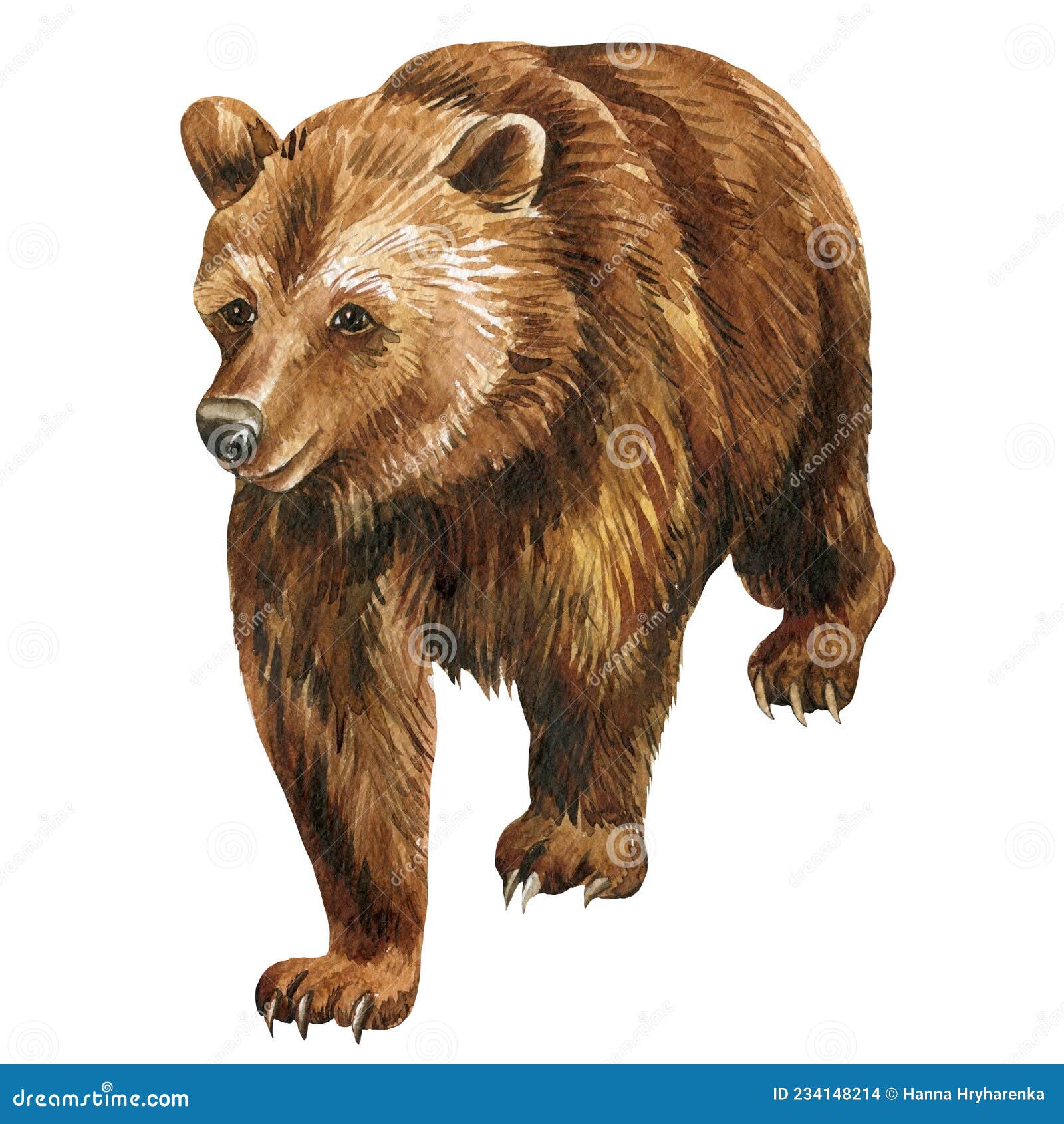 Coloração Vetorial Simples Urso Animal Selvagem Cor Por Números Jogo imagem  vetorial de natasha-tpr© 546700574