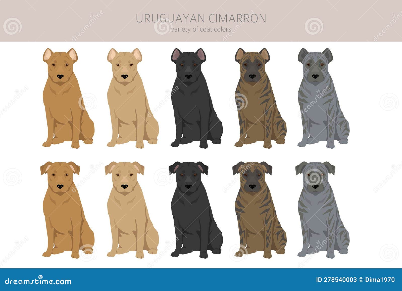 Uruguayan Cimarron Clipart. All Coat Colors Set Stock Vector ...