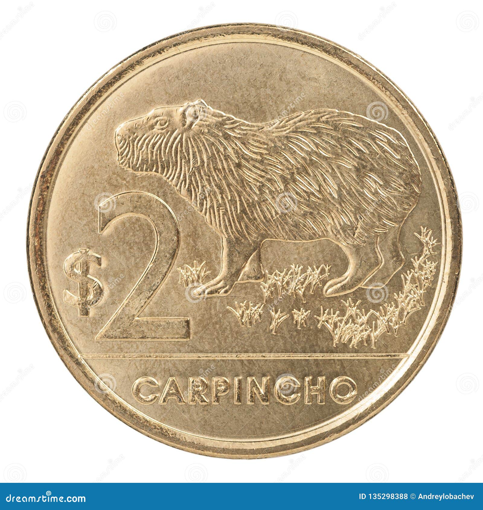 Uruguayan Peso Coin stock photo. Image of economy ...