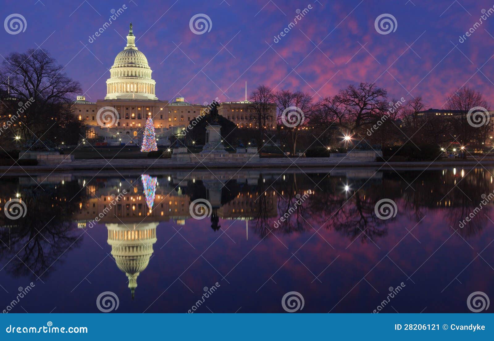 US Capitol Christmas Tree Washington DC Night Stock Image Image of