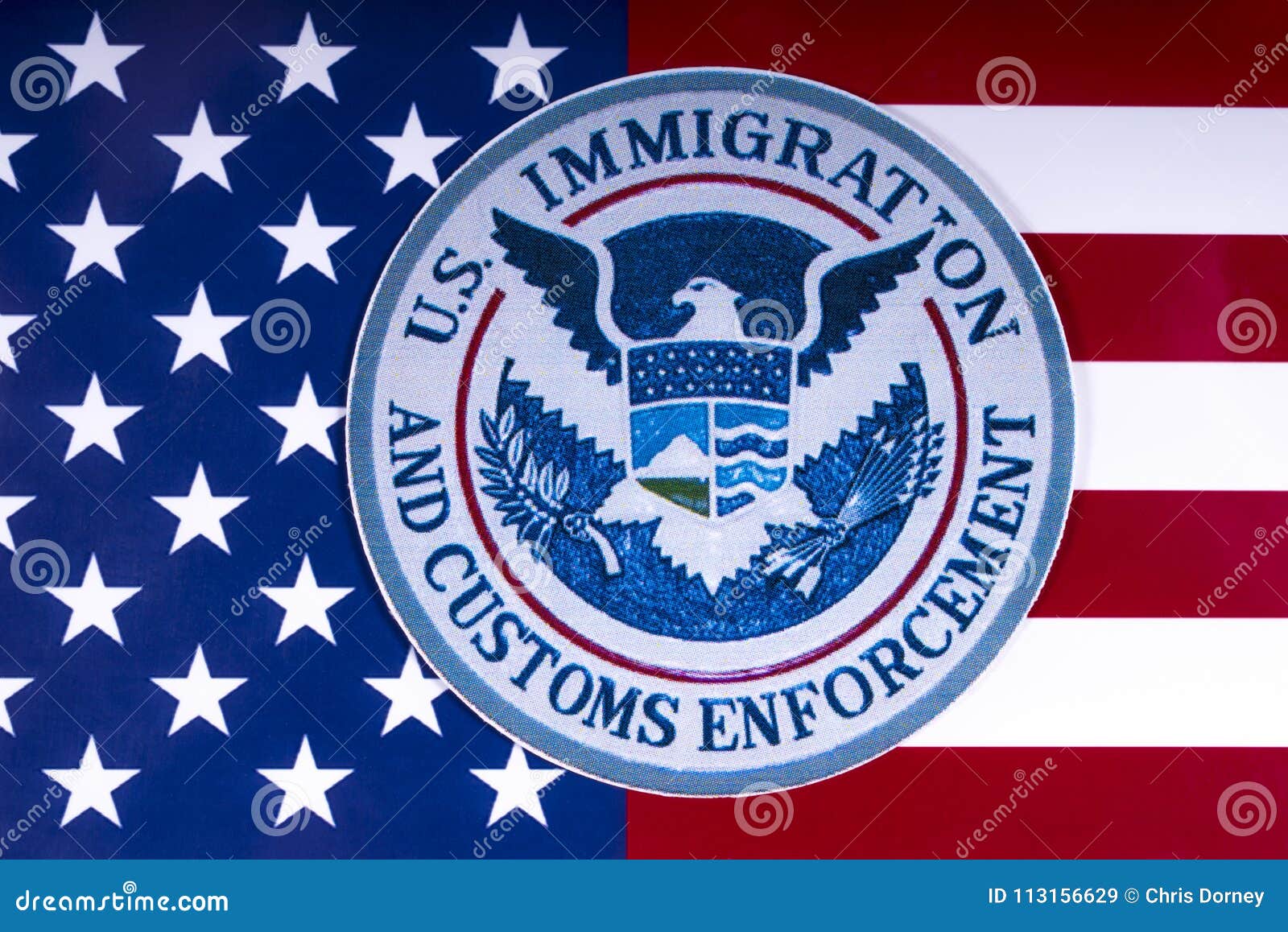 Immigration And Customs Enforcement Organizational Chart