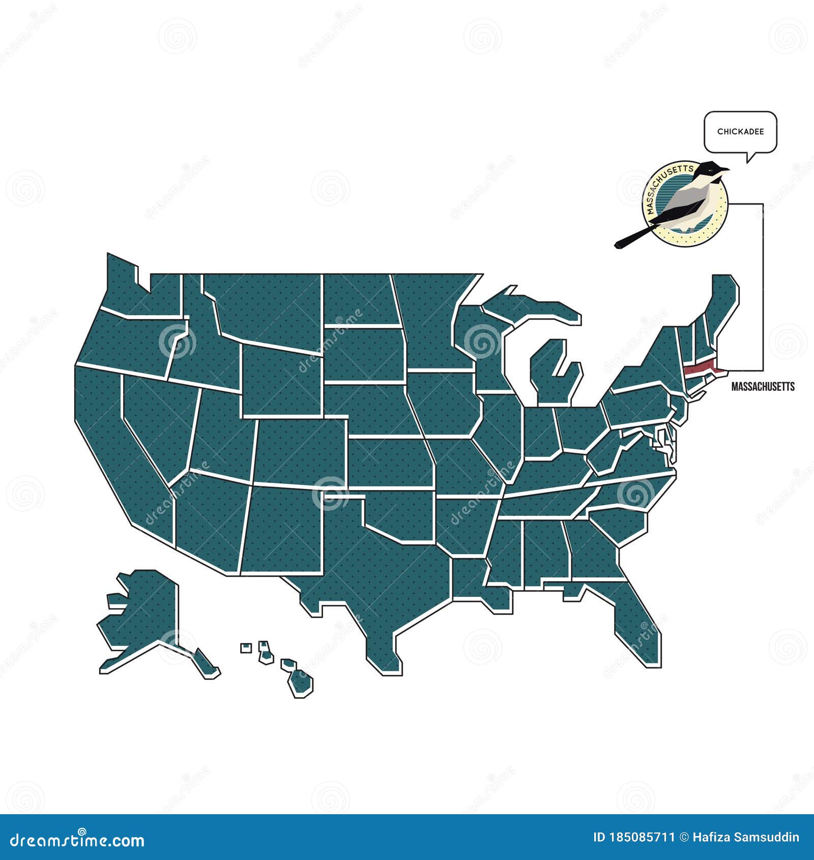 us map with massachusetts state bird.   decorative 