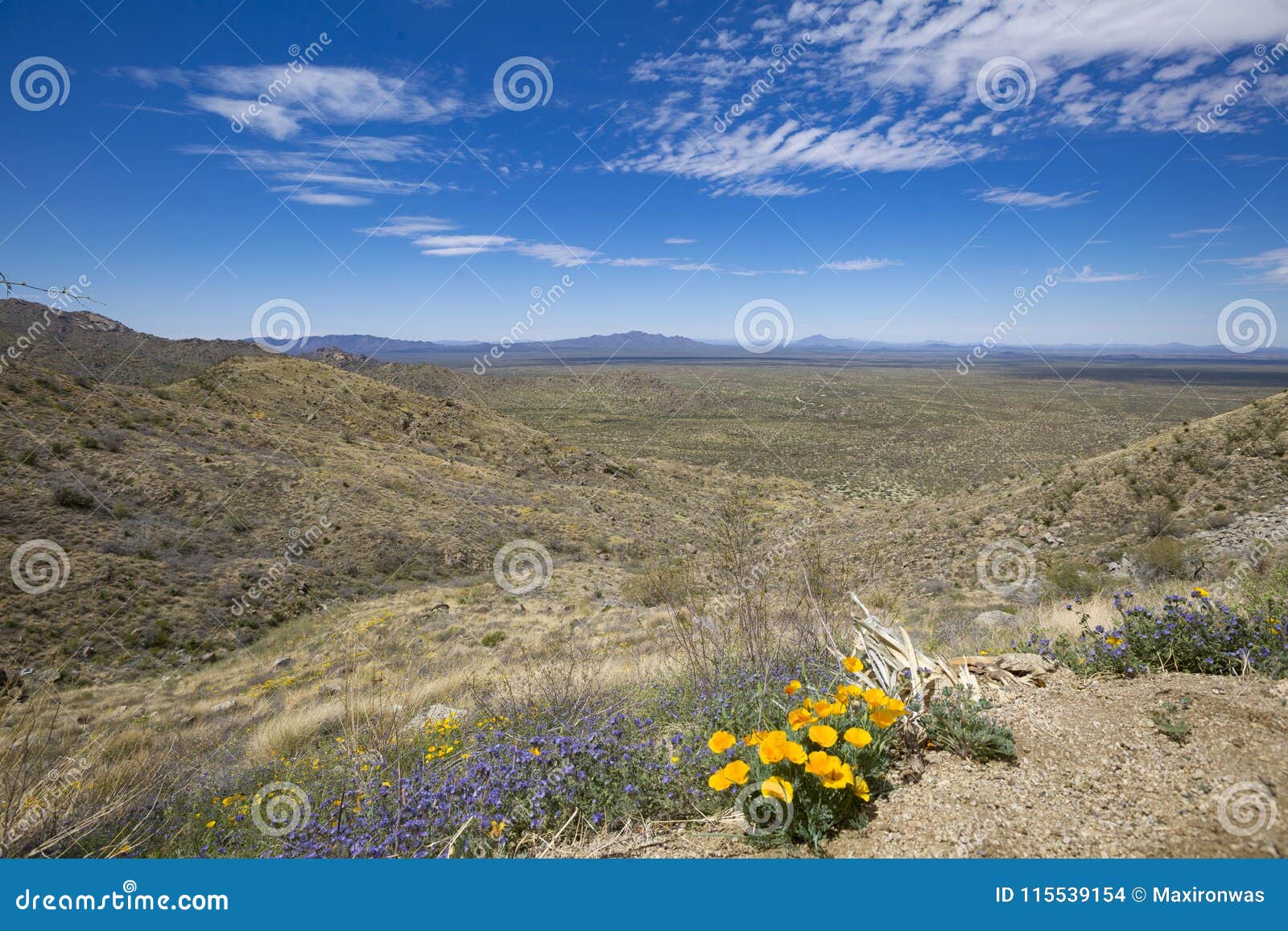 USA Arizona Kitt Peak Astronomical Observatory Editorial Stock