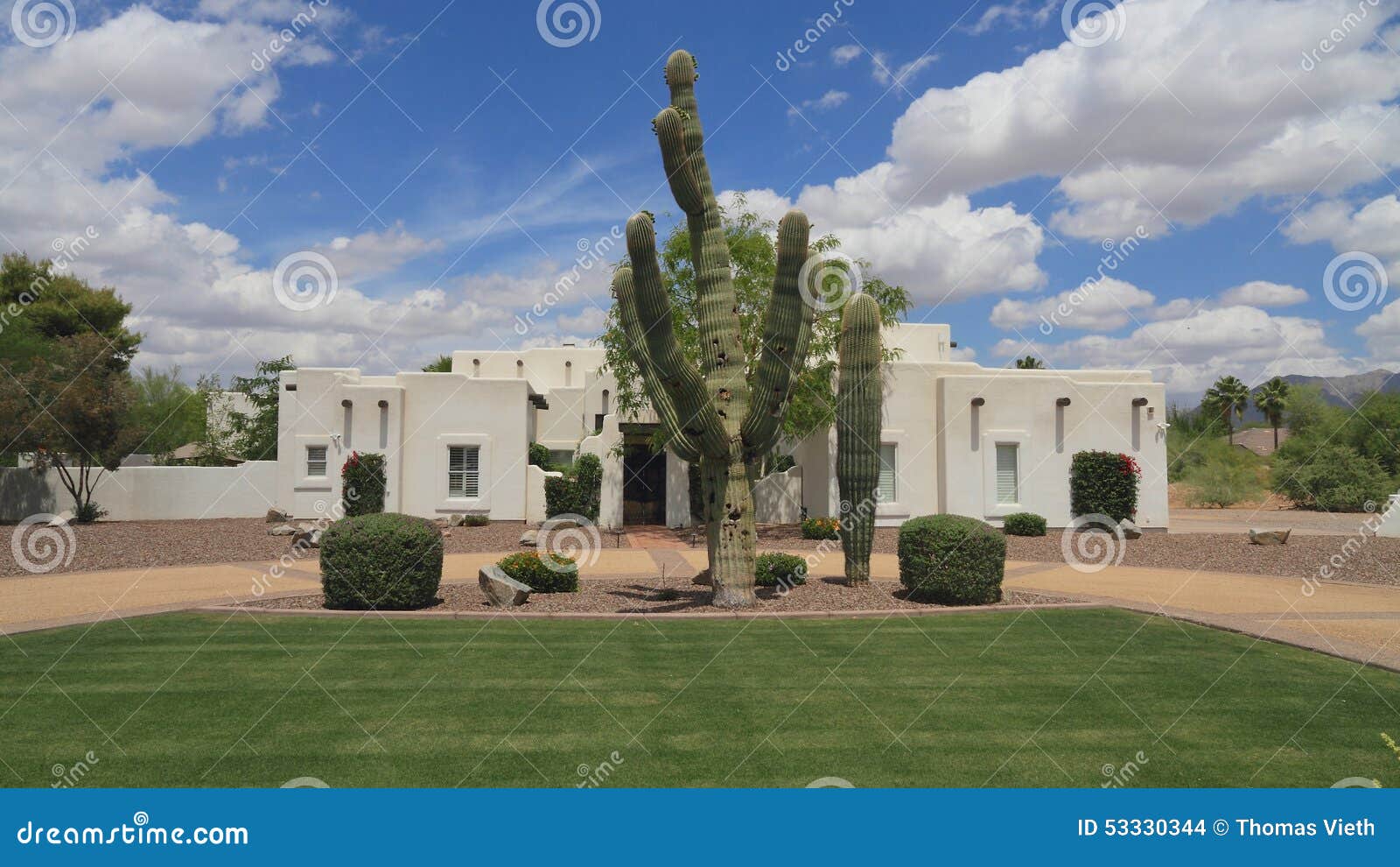 usa, arizona/phoenix: pueblo revival adobe house/saguaro front yard